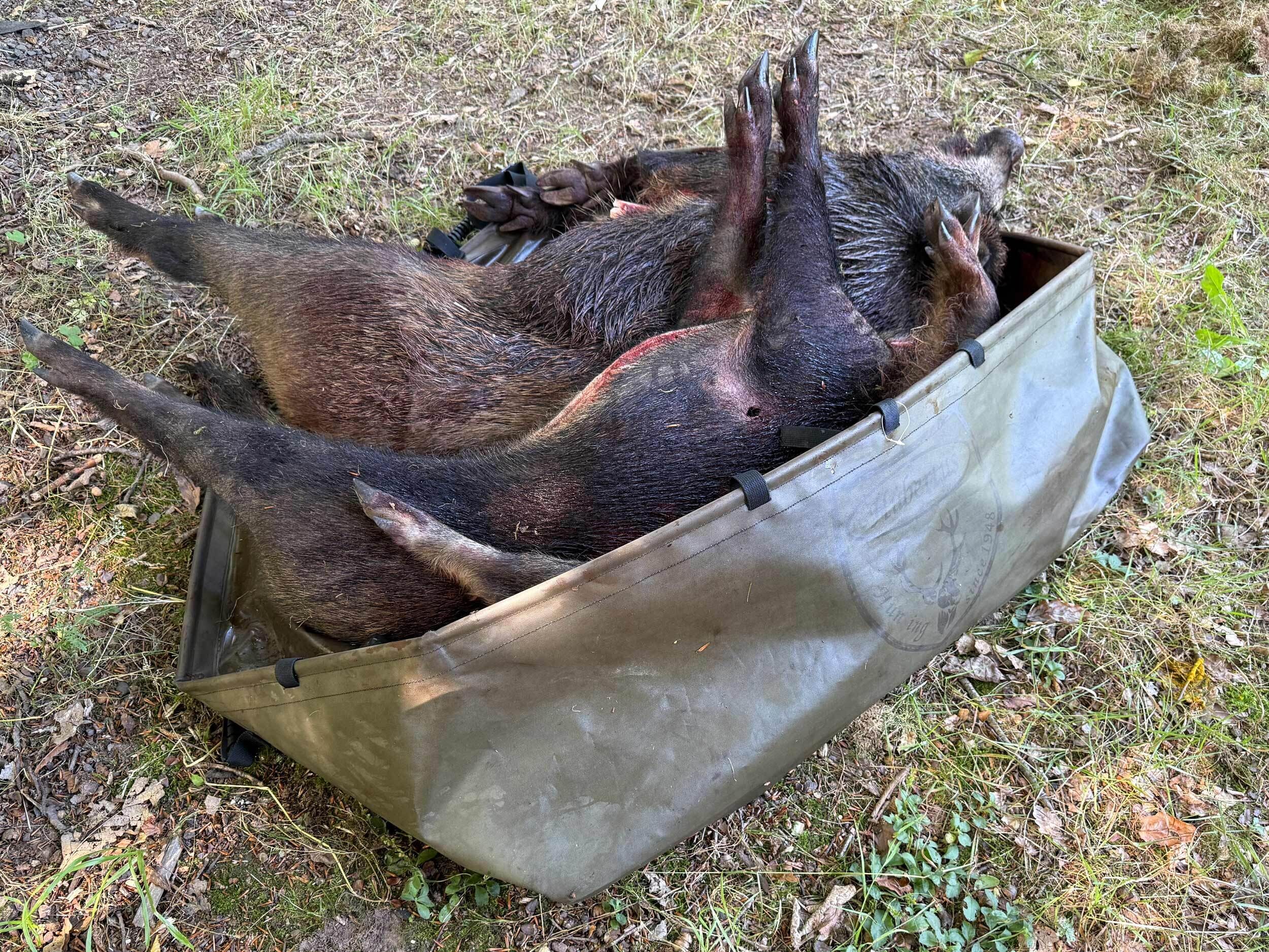 Hubertus Wildwanne Rot-und Schwarzwild (faltbar)