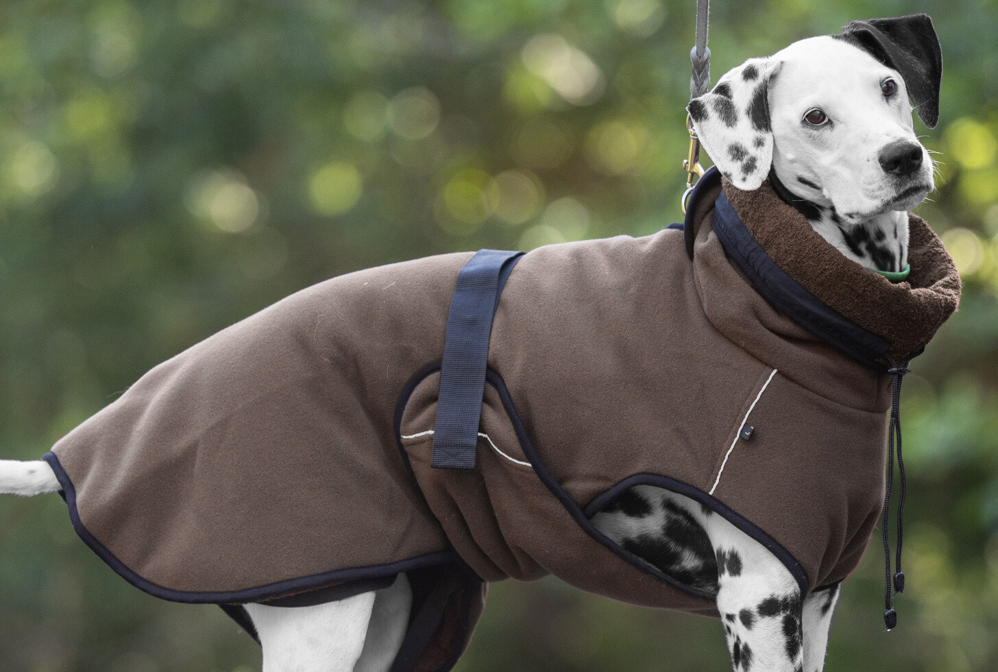 Actionfactory Hundemantel Warmup Cape Pro (mocca)