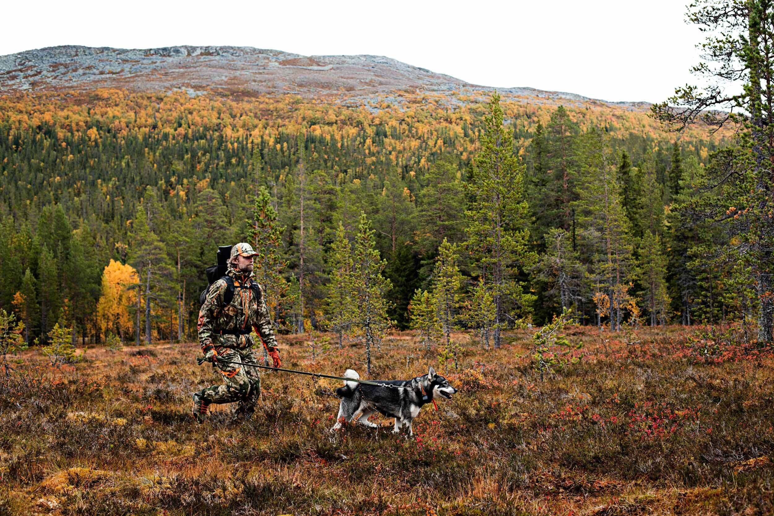 Härkila Moose Hunter Jagdhose (Mossy Oak Orange Blaze Camo) Gr. 46 Härkila Moose Hunter Jagdhose (Mossy Oak Orange Blaze Camo) Gr. 46