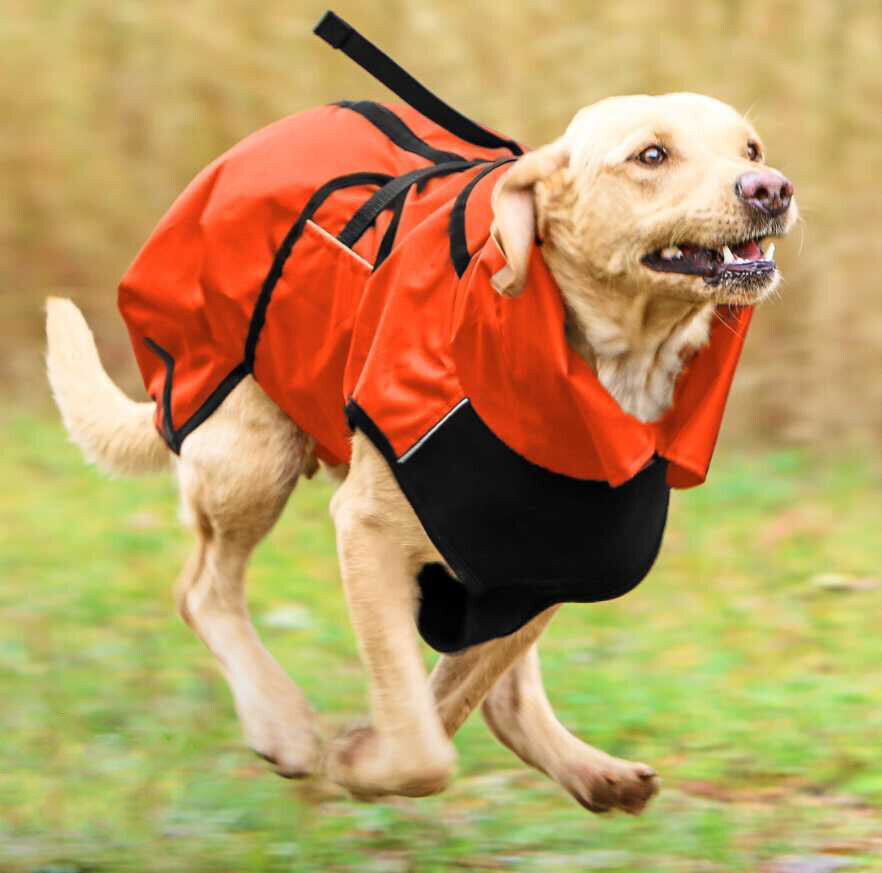 Actionfactory Active Cape Wind & Rain Elastic Regenschutz (Orange)