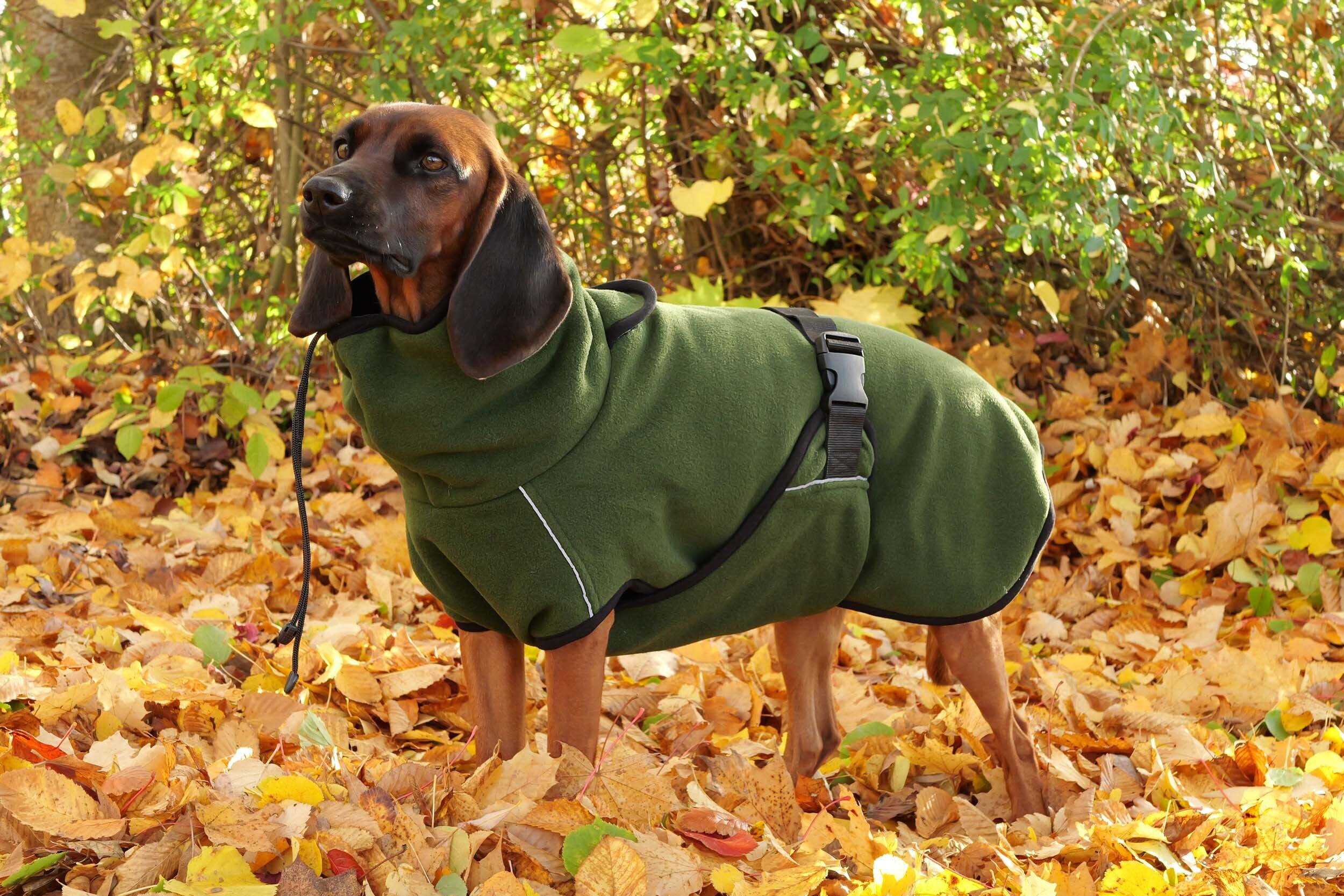 Actionfactory Hundemantel Warmup Cape Pro (pine green)