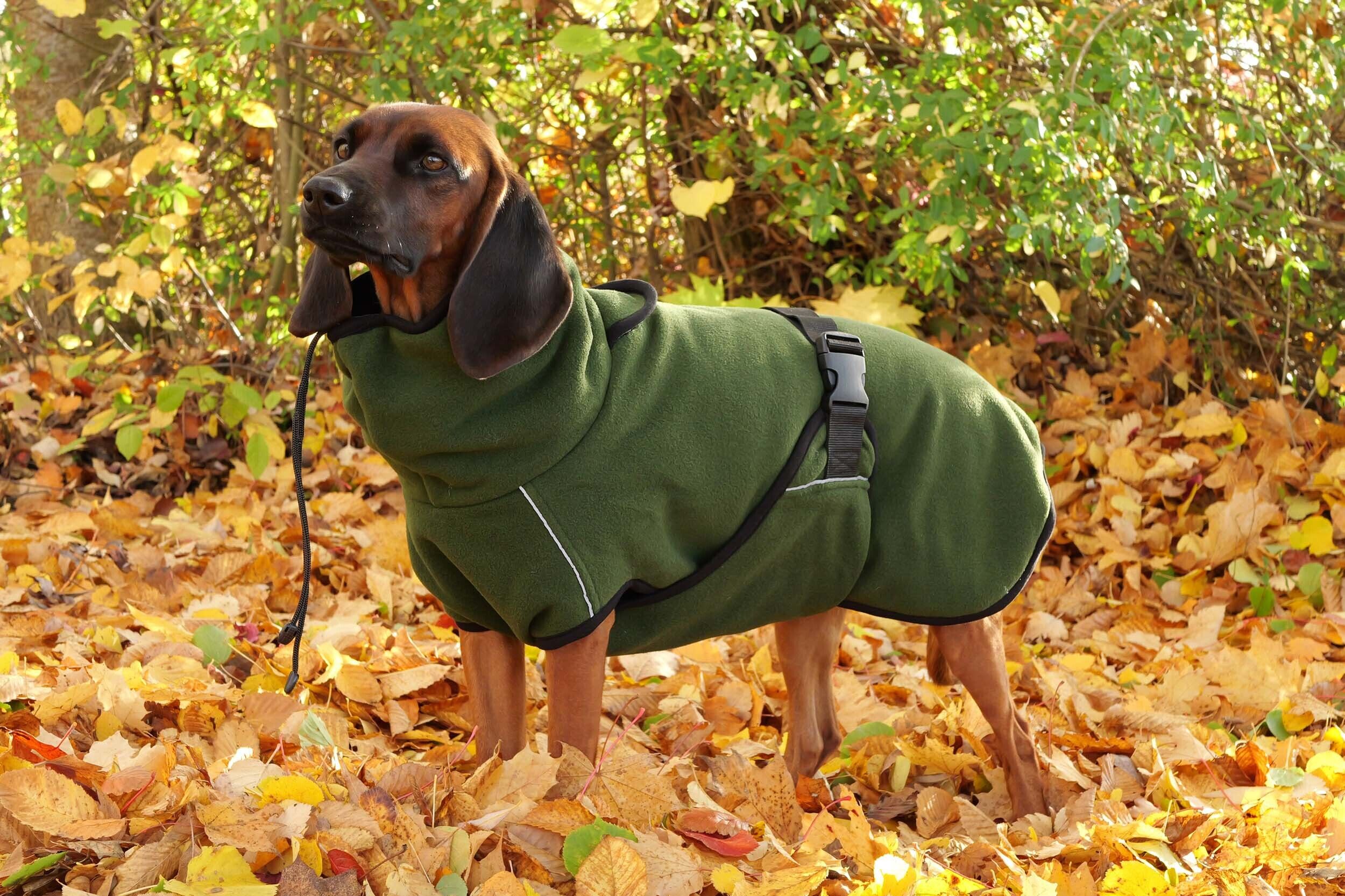 Actionfactory Hundemantel Warmup Cape Pro (pine green) Actionfactory Hundemantel Warmup Cape Pro (pine green)