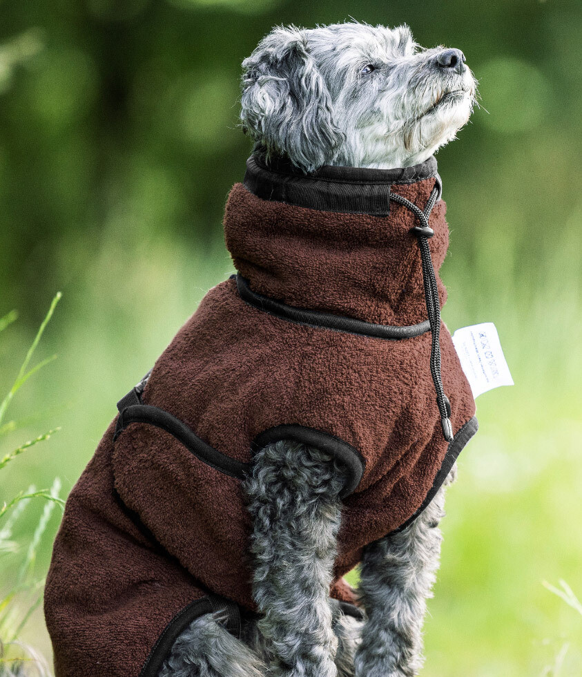 Actionfactory Warmup Cape Pro Mini Hundemantel (mocca)