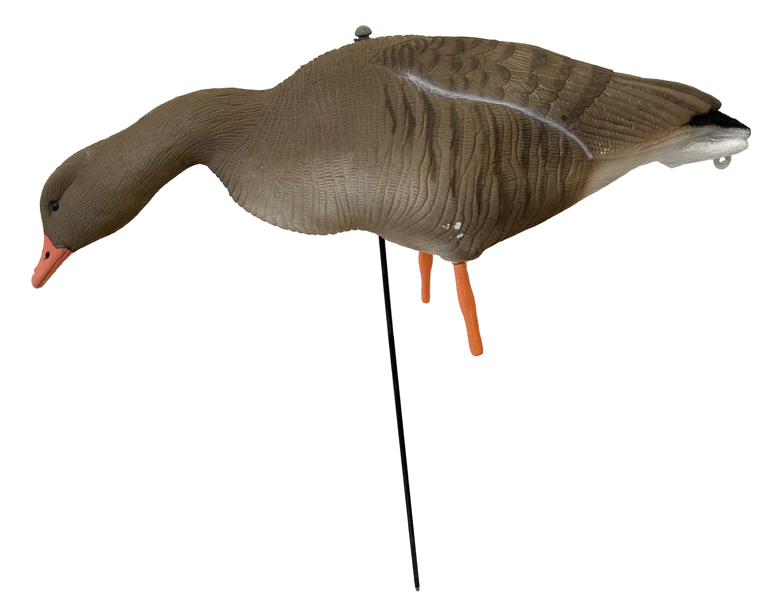 Beflockte Vollkörper-Graugänse, äsend, ruhend (6 Stück) Beflockte Vollkörper-Graugänse, äsend, ruhend (6 Stück)