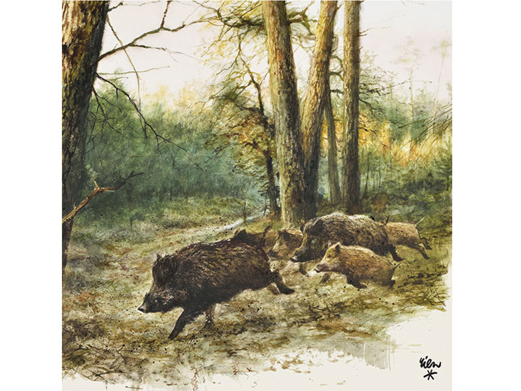 Jagdservietten Wildschwein