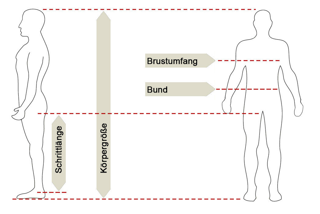 Größentabelle Illustration