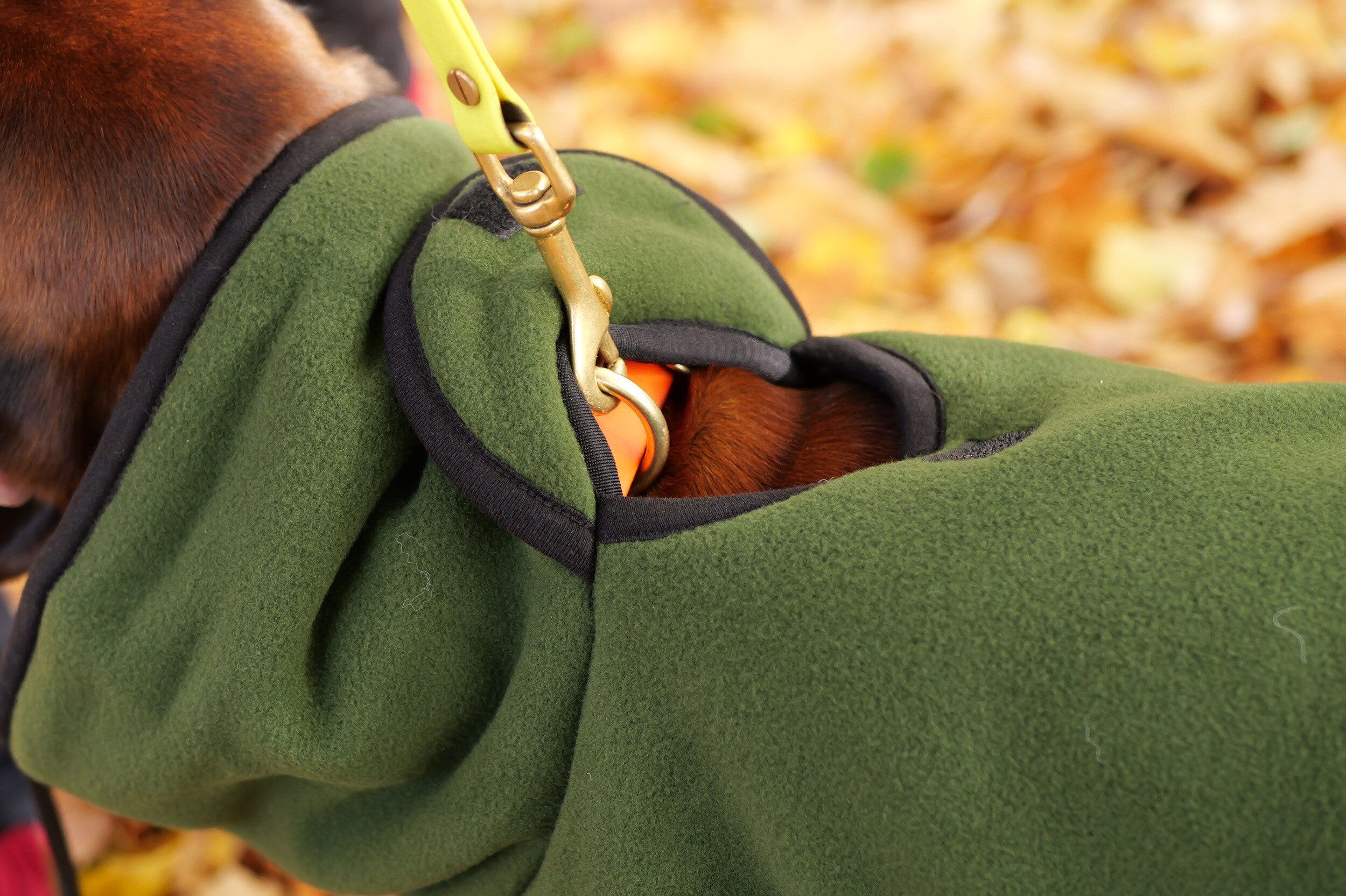 Actionfactory Hundemantel Warmup Cape Pro (pine green)