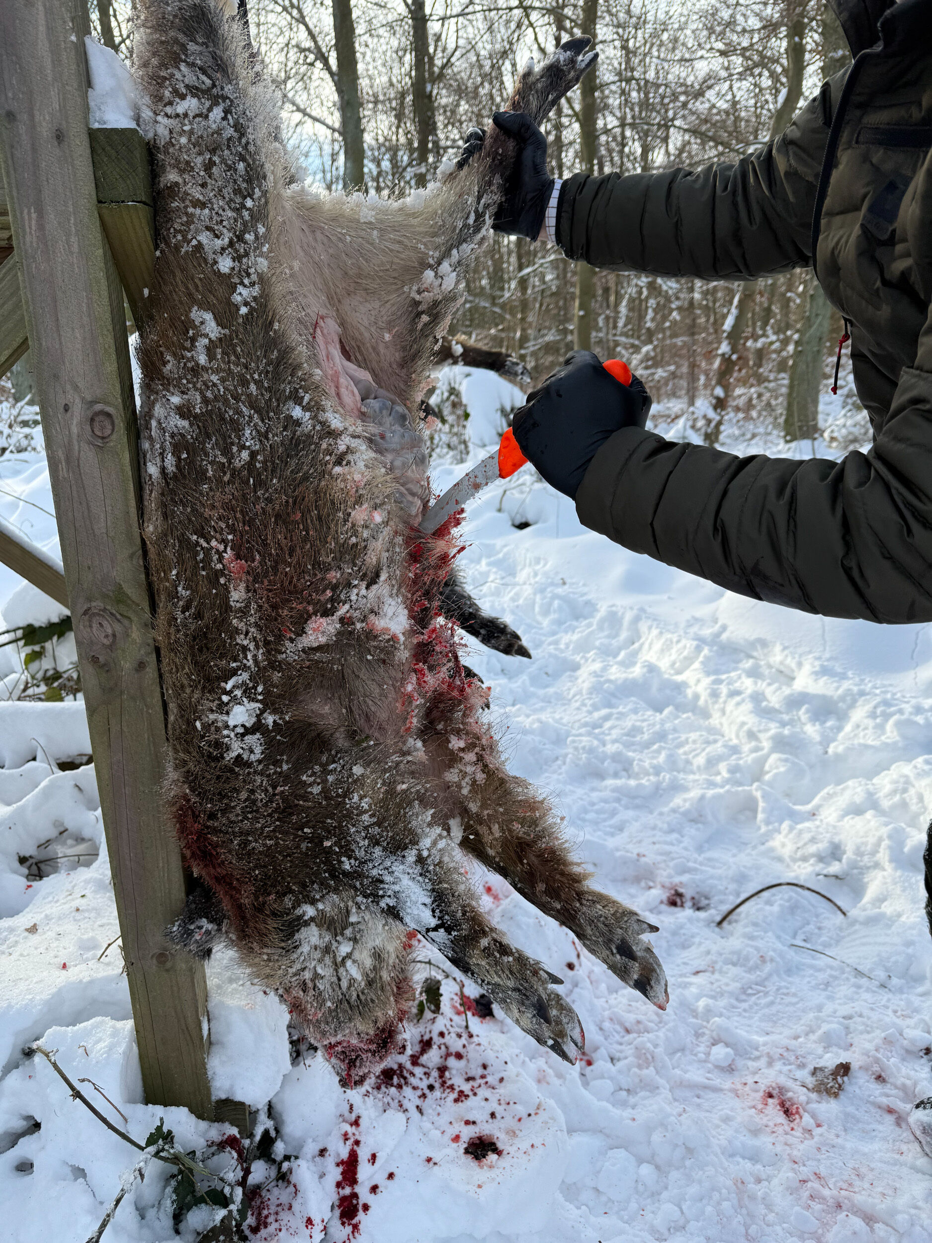 Dick Aufbrechmesser für hängendes Aufbrechen + Scheide