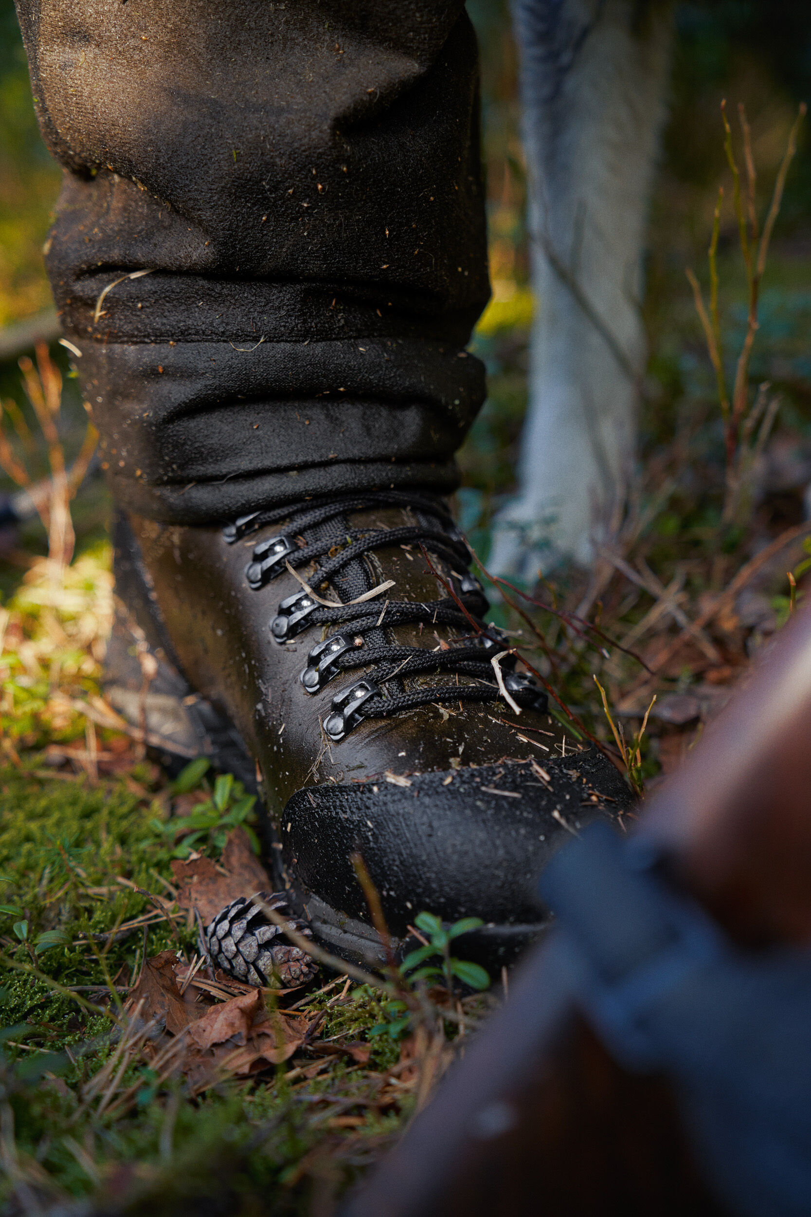Härkila Forest Hunter Mid GTX Jagdstiefel (Willow green) Härkila Forest Hunter Mid GTX Jagdstiefel (Willow green)