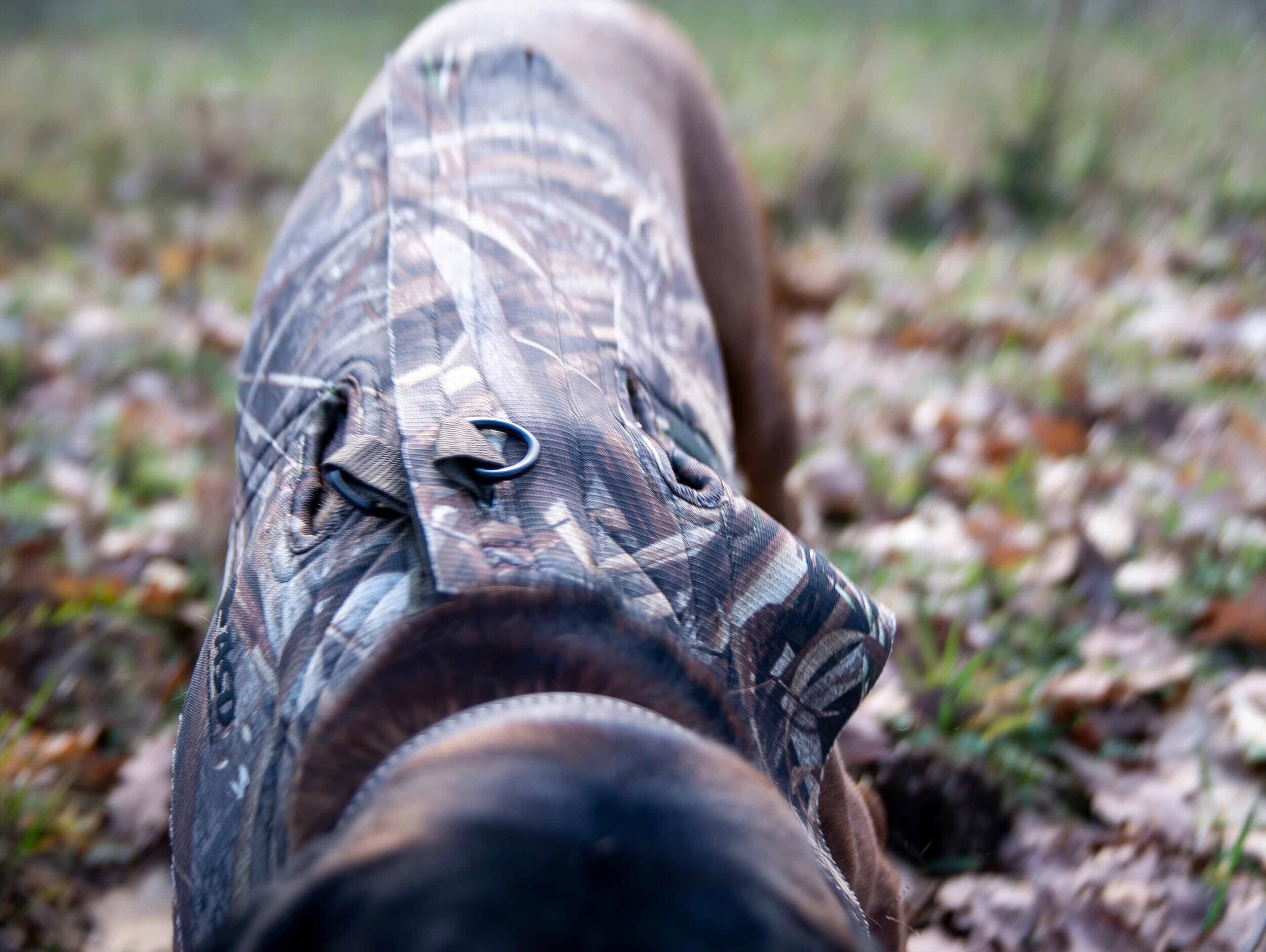 Avery Sporting Dog Boater's Hundeparka (MAX-5 camo) Avery Sporting Dog Boater's Hundeparka (MAX-5 camo)