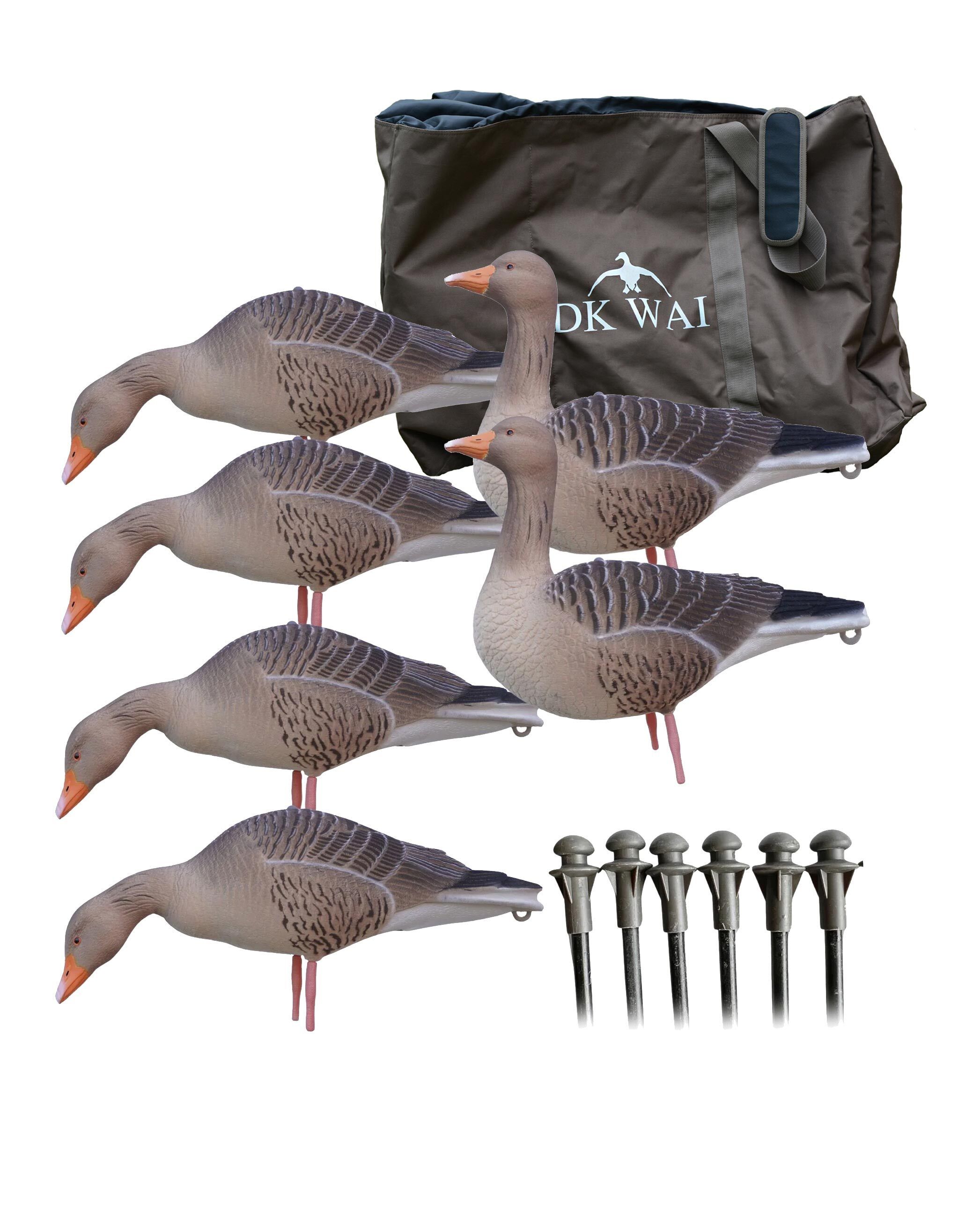 Beflockte Vollkörper-Graugänse DK Wai Ultralight inkl. Tasche (4 äsend, 2 wachend) Beflockte Vollkörper-Graugänse DK Wai Ultralight inkl. Tasche (4 äsend, 2 wachend)