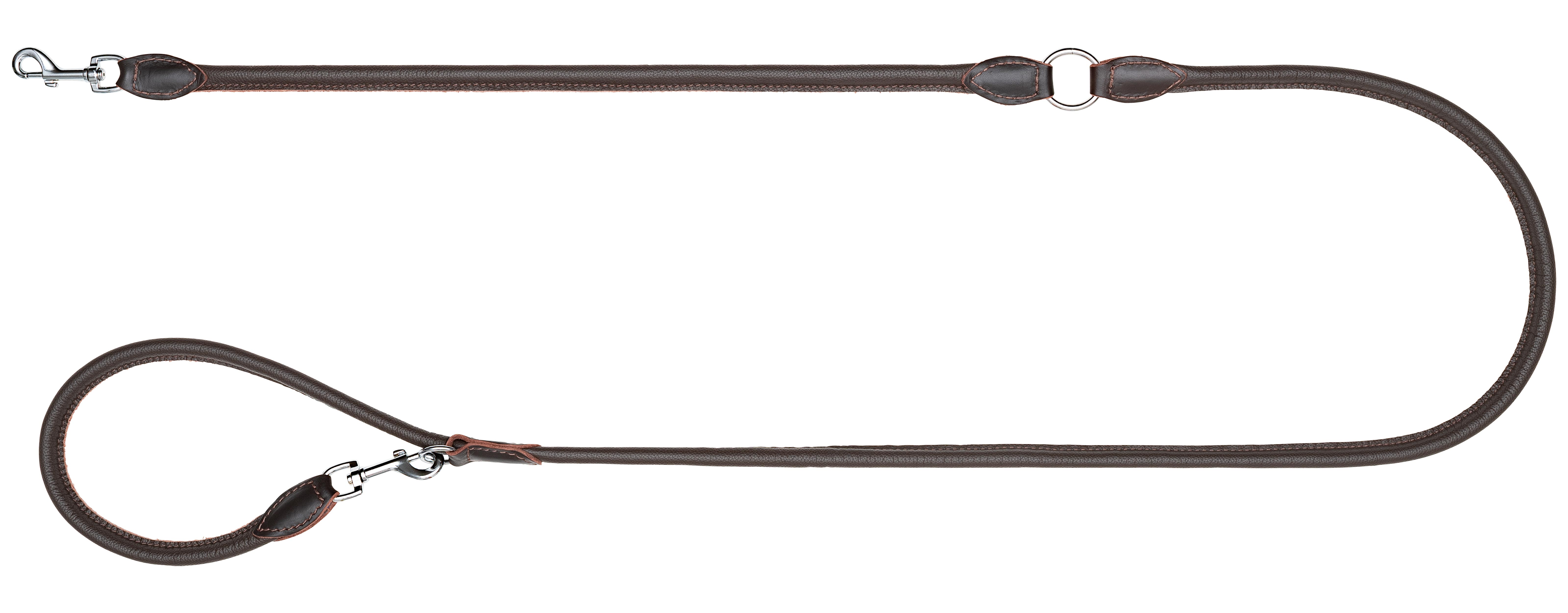 Blaser Hundeleine Leder