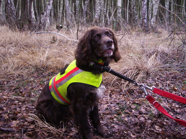 Nordforest Hunting Hundewarnweste (neongelb) Nordforest Hunting Hundewarnweste (neongelb)