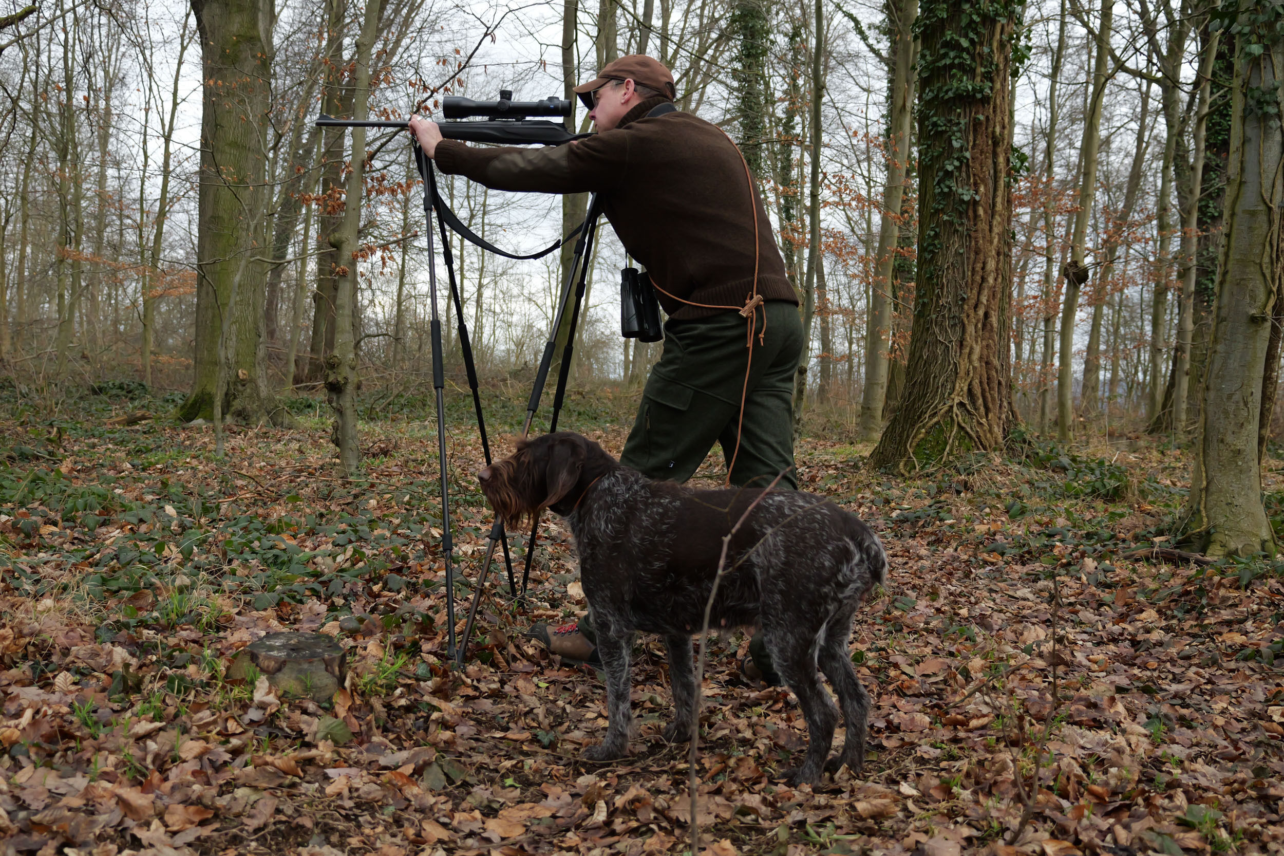 Jagdhund Lodenhose Gradenstein (Grün) Jagdhund Lodenhose Gradenstein (Grün)