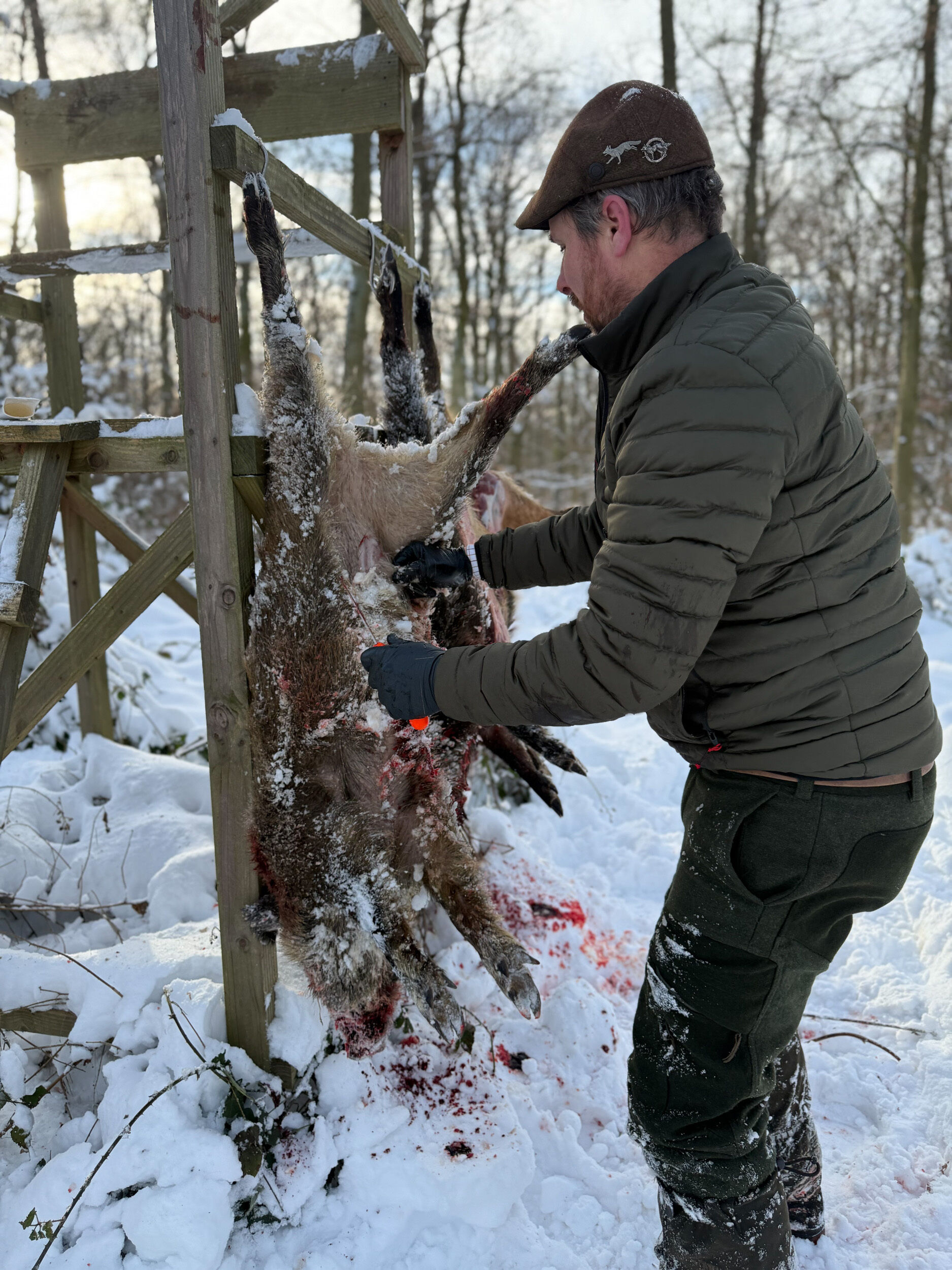 Dick aufbrechmesser mit Säge im Einsatz bei Schwarzwild