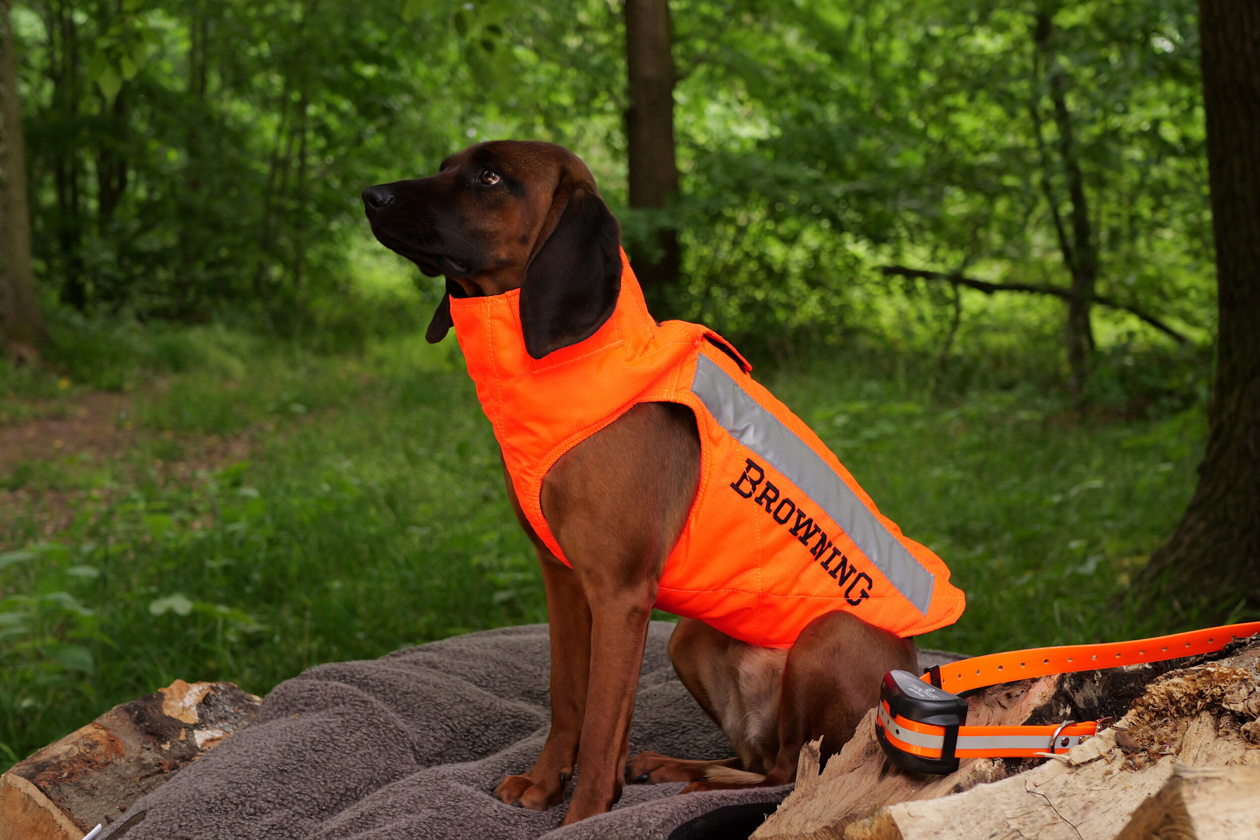 Browning Protect Hunter Hundeschutzweste (orange) Browning Protect Hunter Hundeschutzweste (orange)