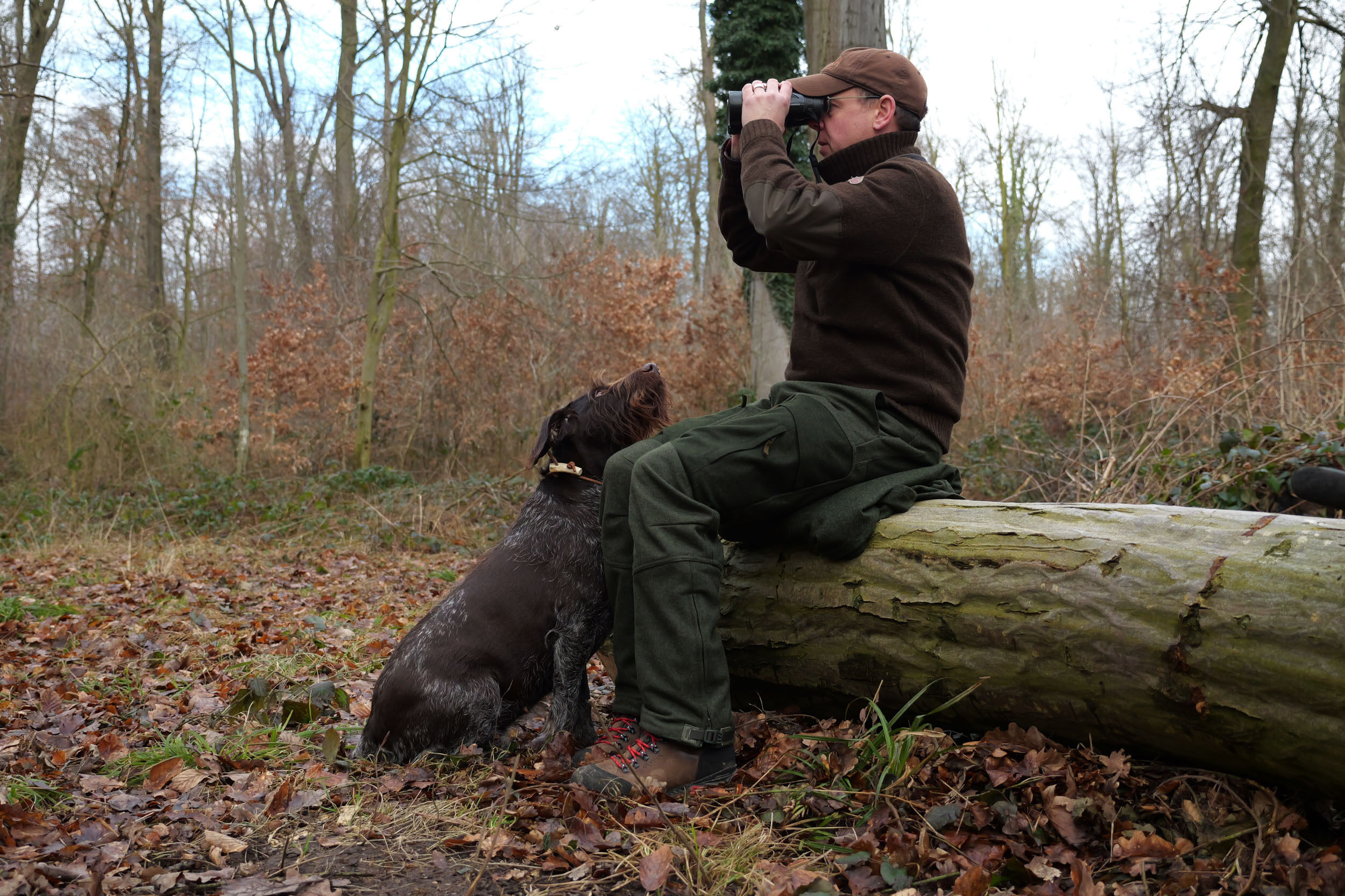 Jagdhund Wetterfleck Rauris 2 (oliv) Jagdhund Wetterfleck Rauris 2 (oliv)