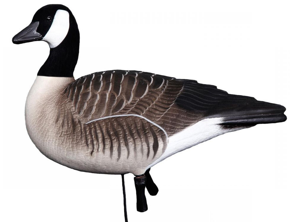 Beflockte Vollkörper-Kanadagänse DK WAI (6 Stck. inkl. Tasche)