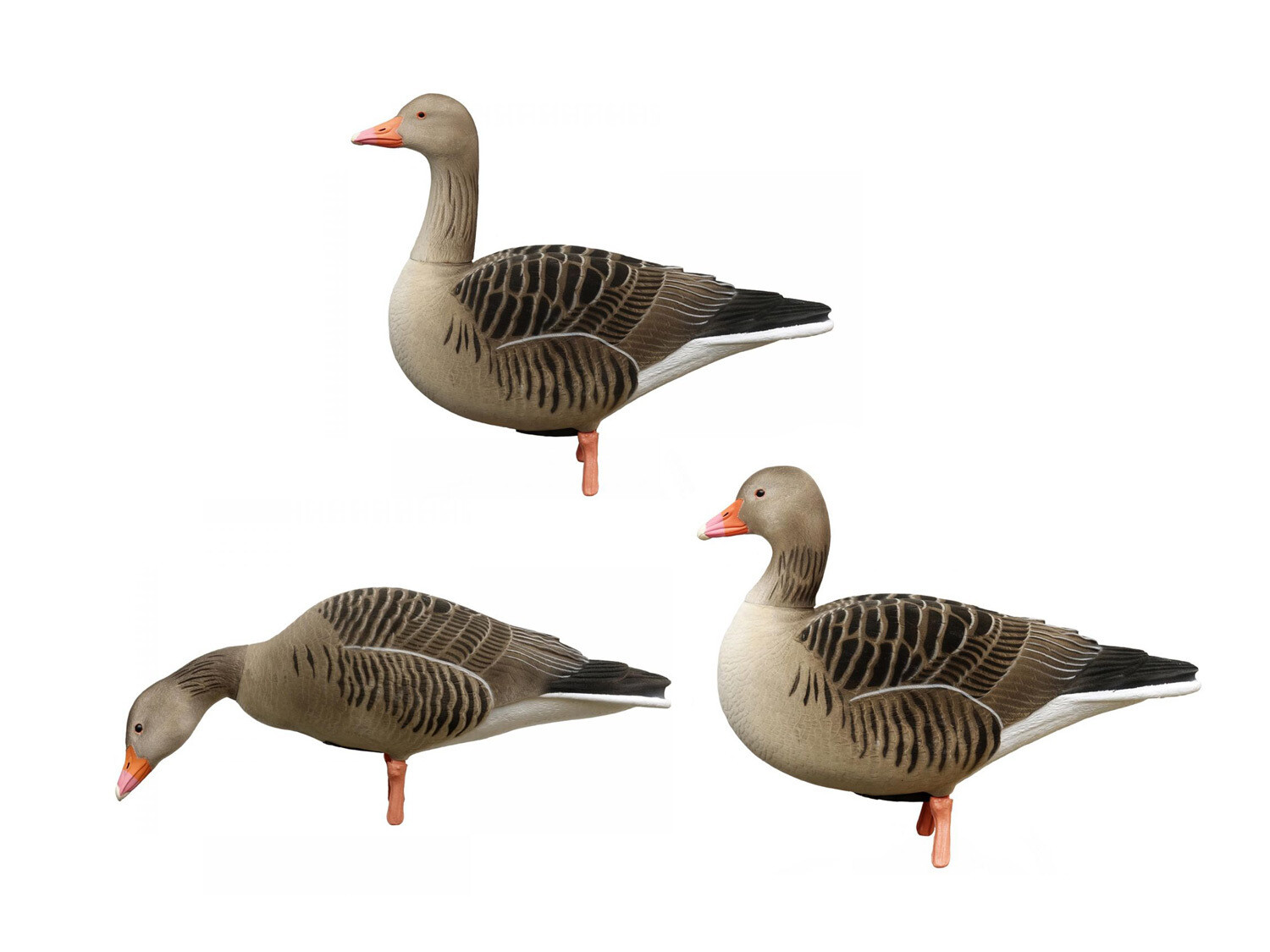 Beflockte Vollkörper-Graugänse DK WAI (6 Stück mit Tasche) Beflockte Vollkörper-Graugänse DK WAI (6 Stück mit Tasche)