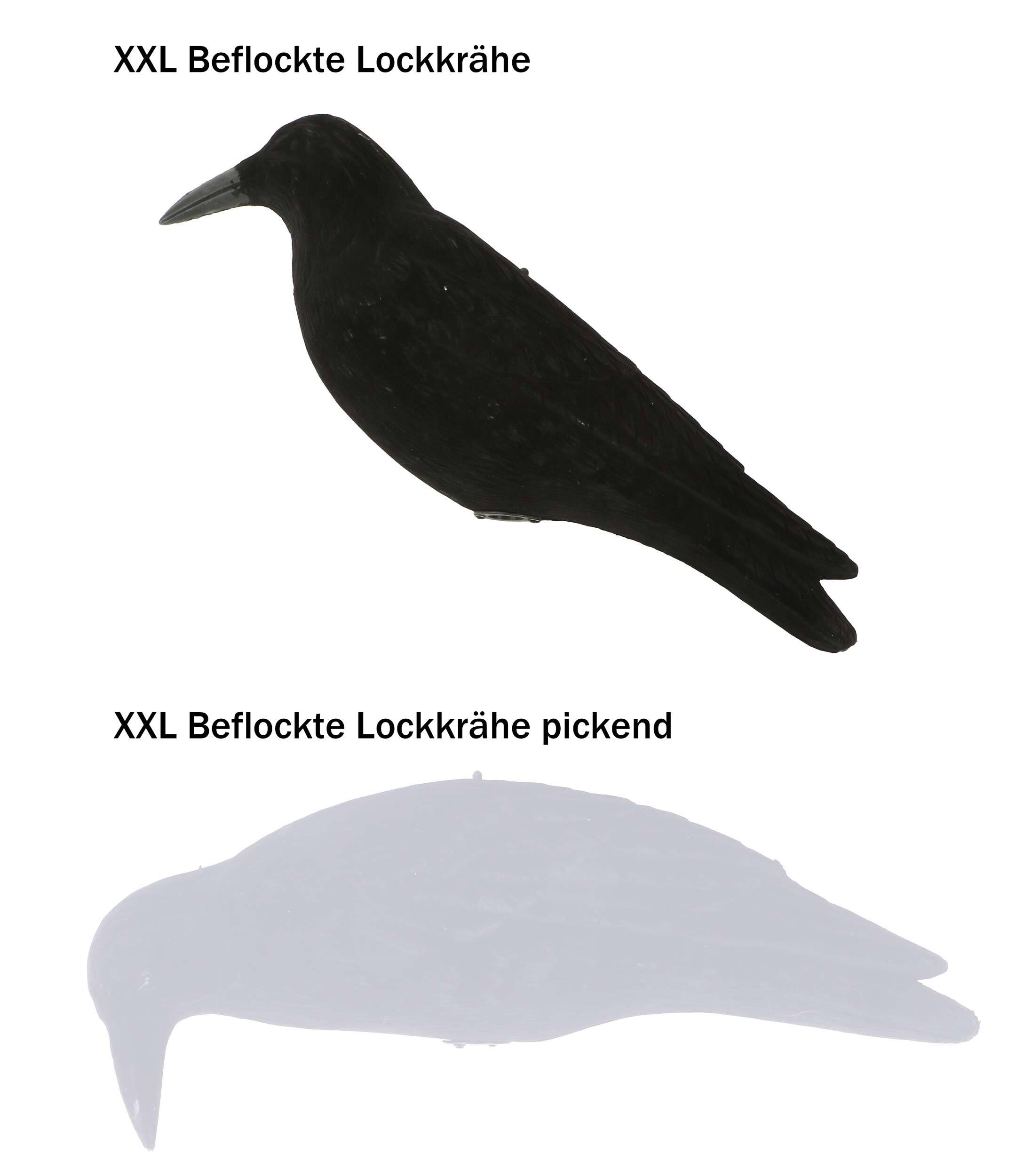 XXL beflockte Lockkrähe XXL beflockte Lockkrähe