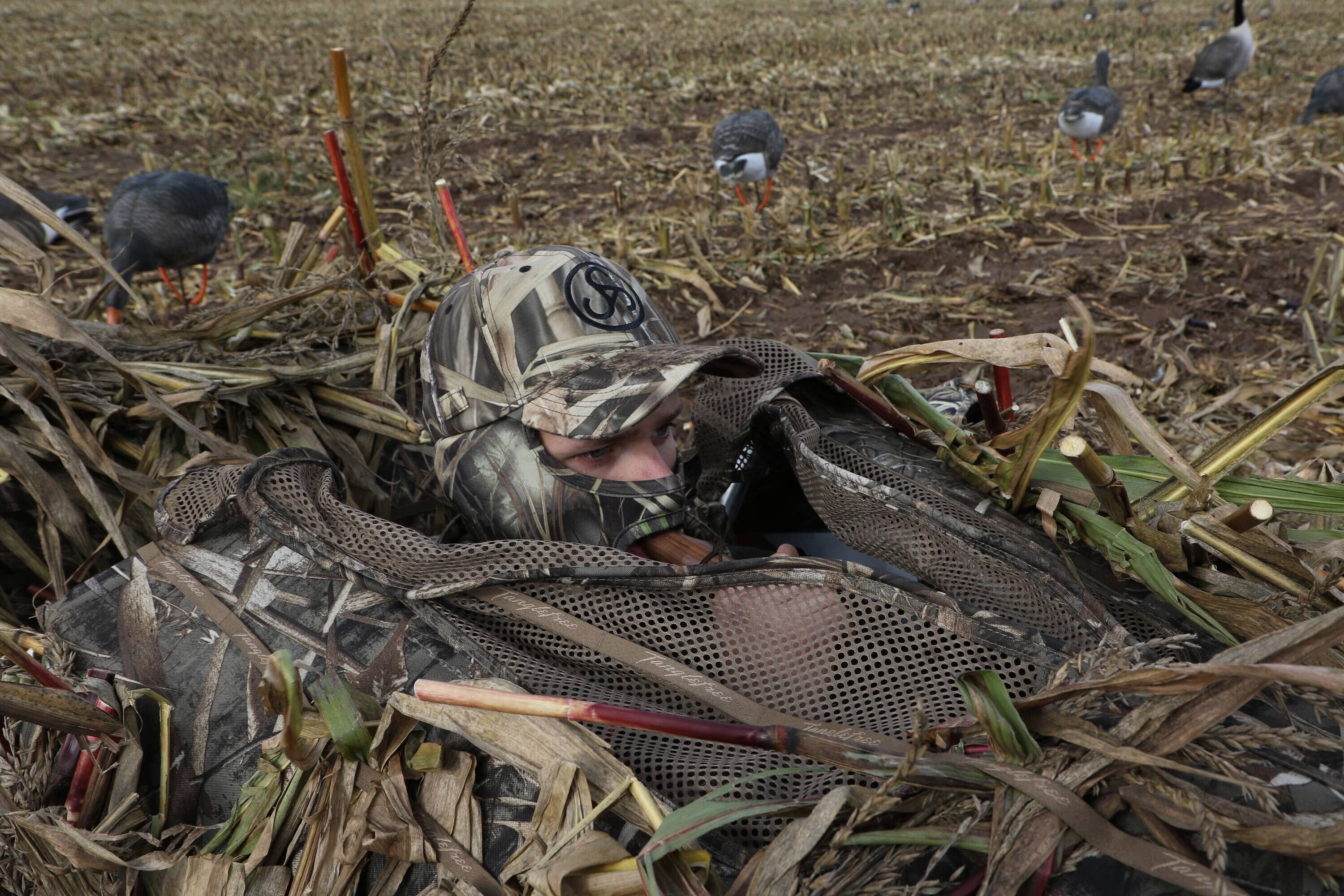 Lockschmiede Grauganslocker V2 (Nussbaum) Lockschmiede Grauganslocker V2 (Nussbaum)