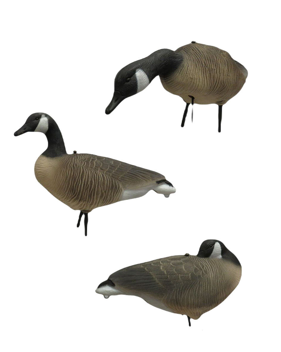 Vollkörper-Lockvögel Kanadagans (6 Stück) Vollkörper-Lockvögel Kanadagans (6 Stück)
