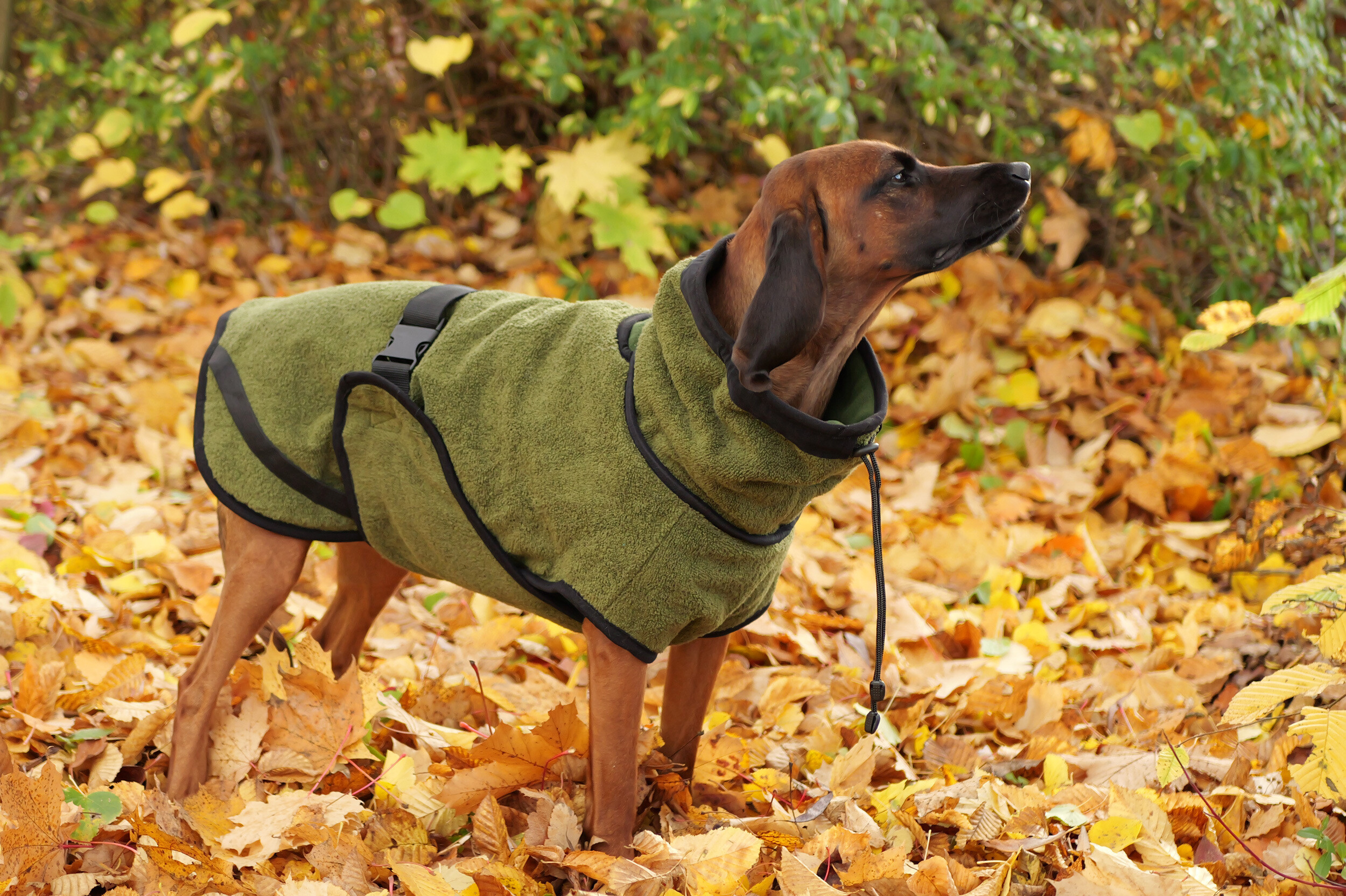 Actionfactory Hundemantel Warmup Cape Pro (pine green)