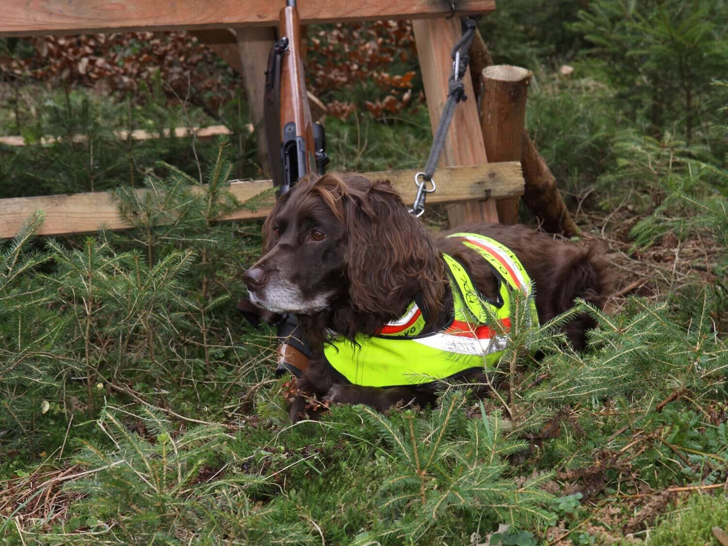 Nordforest Hunting Hundewarnweste (neongelb) Nordforest Hunting Hundewarnweste (neongelb)