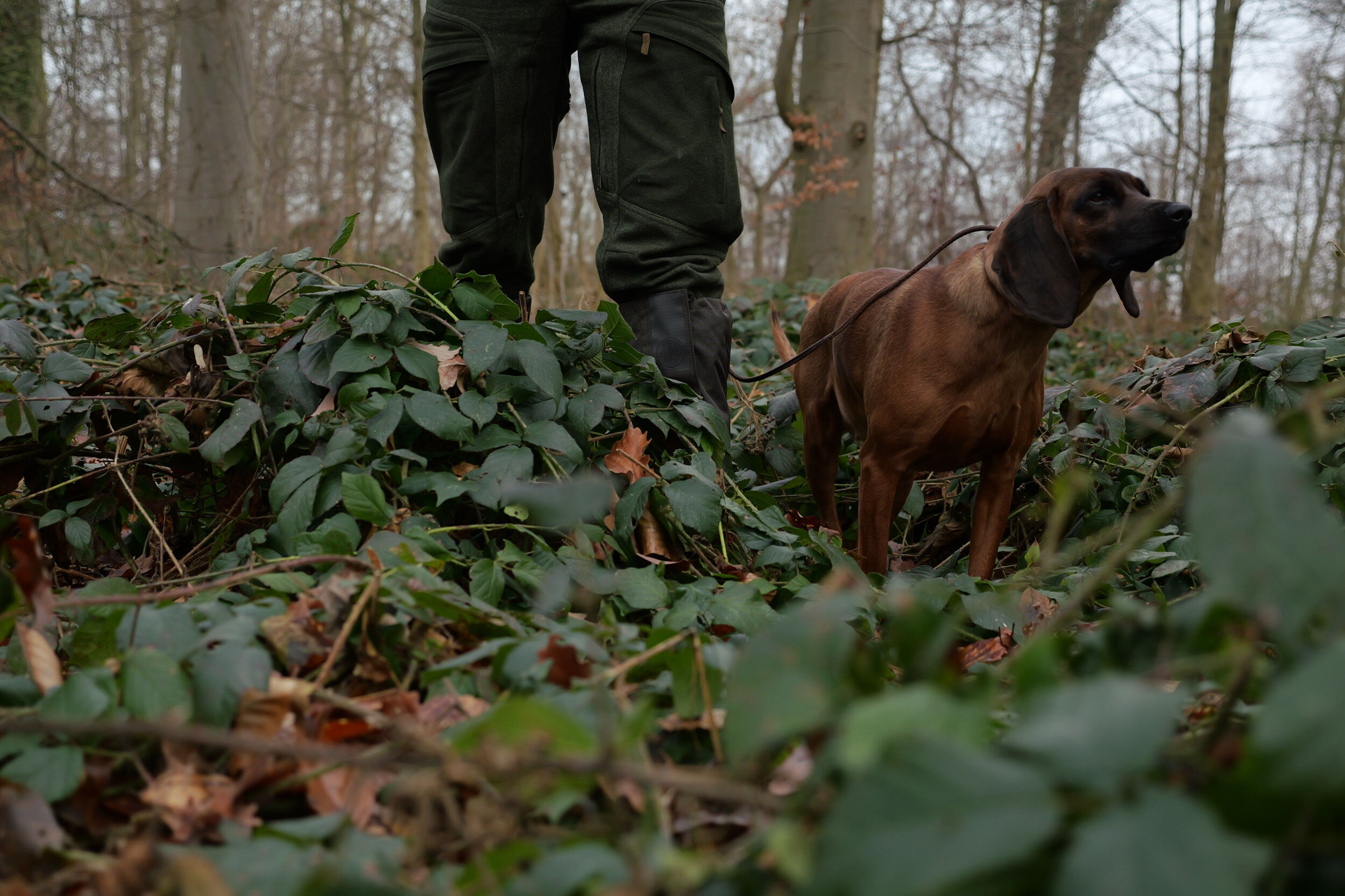 Beretta Thorn Ankle Gaiters Gamaschen (Brown)