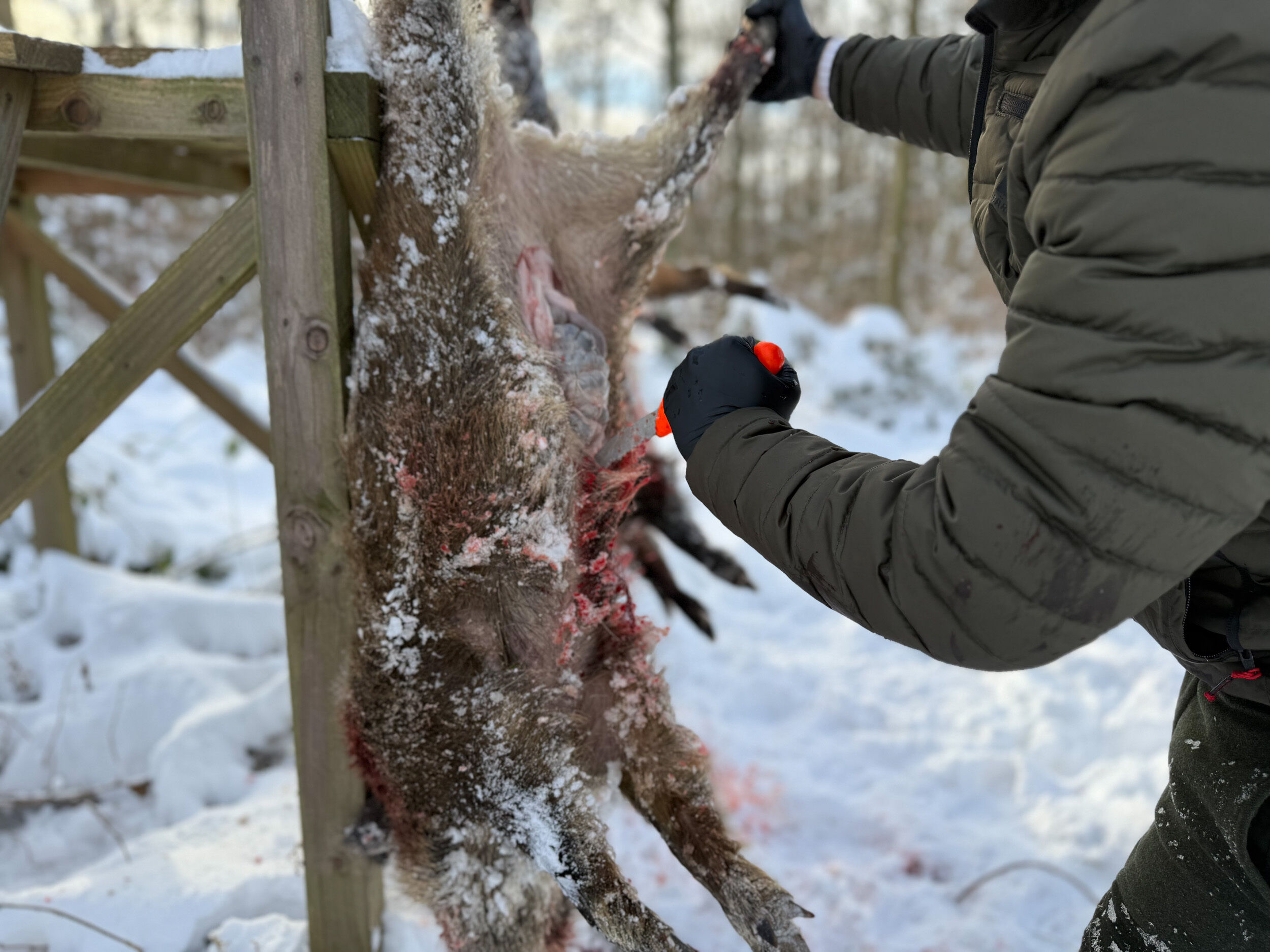 Dick Aufbrechmesser  mit Säge (orange)