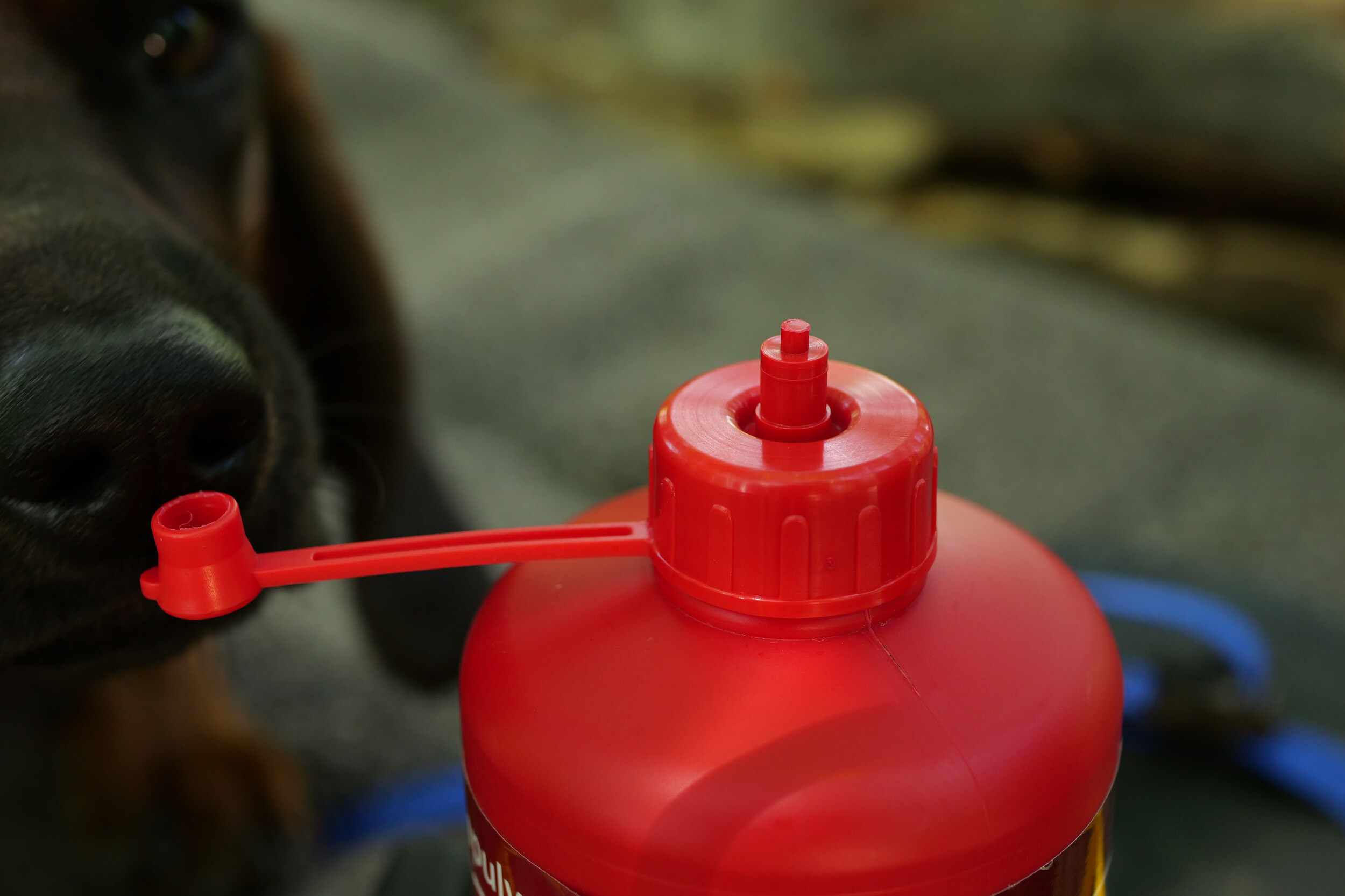 Hagopur Instant-Fährtenpulver Schalenwild (für 250 ml) Hagopur Instant-Fährtenpulver Schalenwild (für 250 ml)