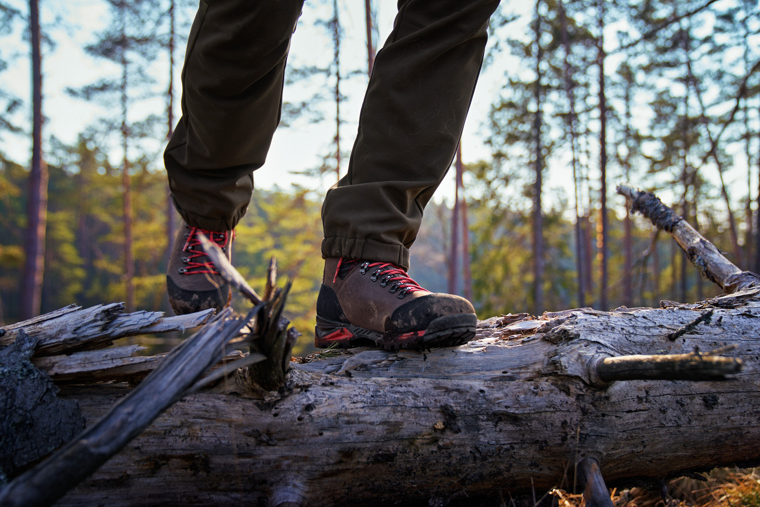 Härkila Forest Hunter Mid GTX Jagdstiefel (Dark brown) Härkila Forest Hunter Mid GTX Jagdstiefel (Dark brown)