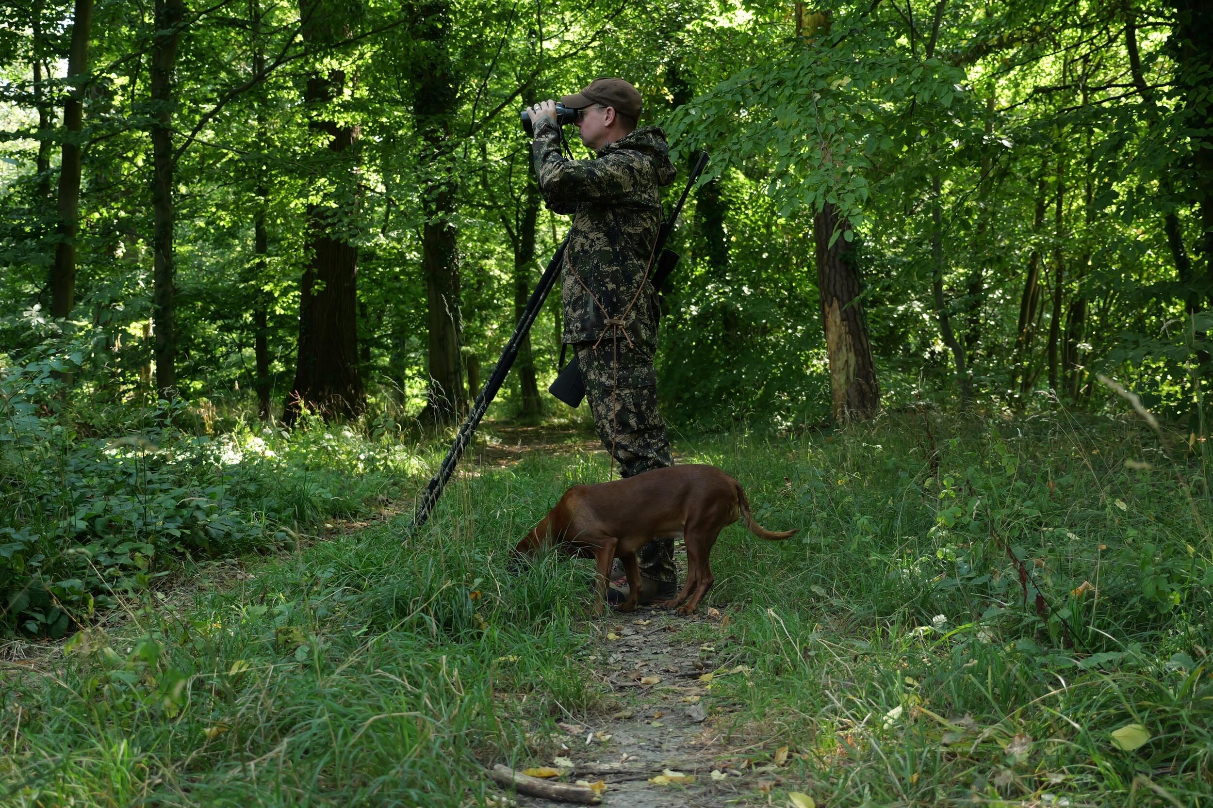 Hart Ibero-J XHP Jacke (Pixel Forest) Hart Ibero-J XHP Jacke (Pixel Forest)