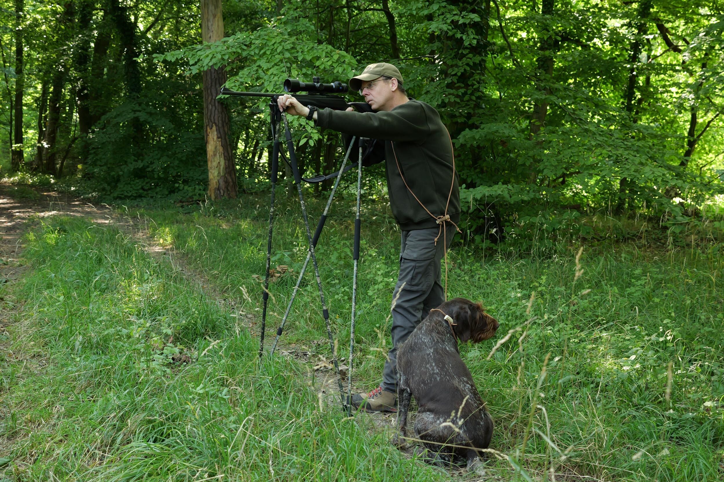 Hubertus Sweatshirt Wildschweinmotiv (oliv) Hubertus Sweatshirt Wildschweinmotiv (oliv)