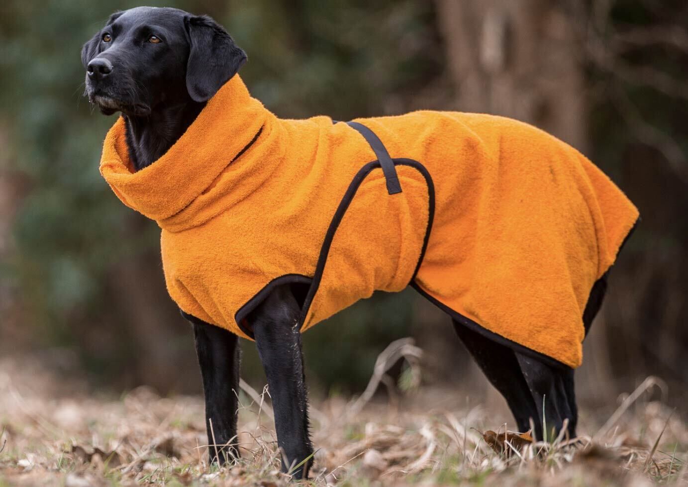 Actionfactory Trockencape DryUp (Clementine) Actionfactory Trockencape DryUp (Clementine)
