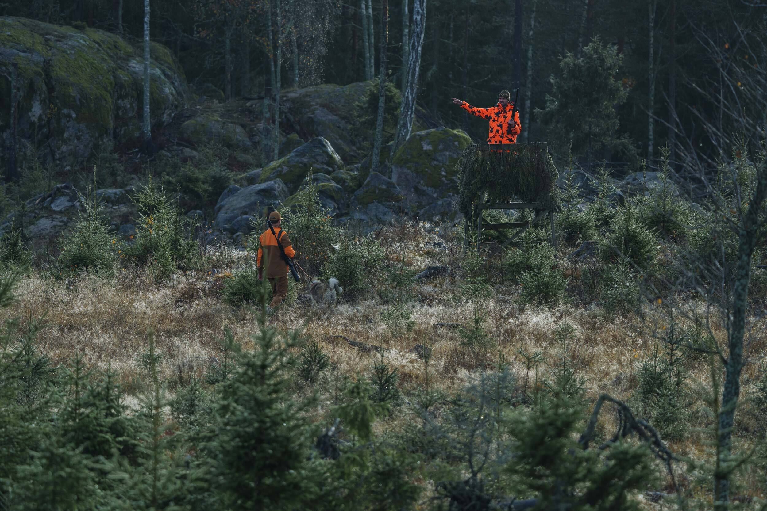 Blaser WP Daunenjacke Janus (blaze orange camo) Blaser WP Daunenjacke Janus (blaze orange camo)