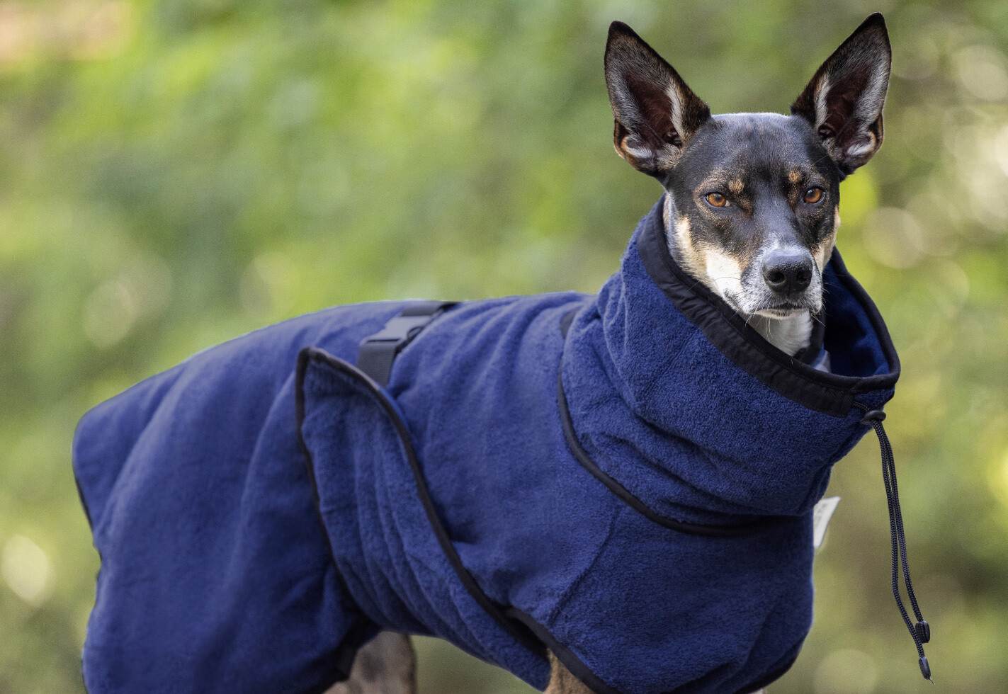 Actionfactory Hundemantel Warmup Cape Pro (Dark Blue)