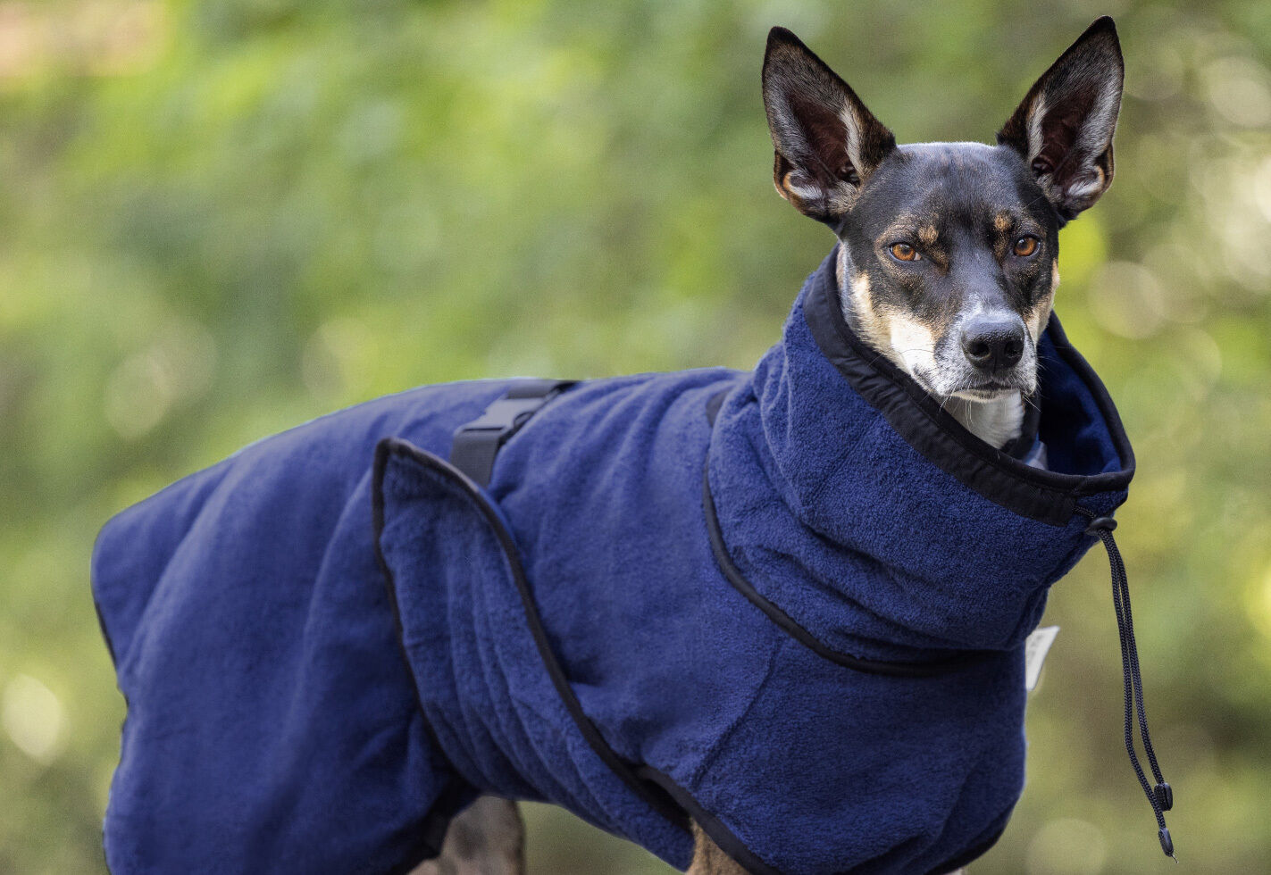 Actionfactory Hundemantel Warmup Cape Pro (Dark Blue) Actionfactory Hundemantel Warmup Cape Pro (Dark Blue)