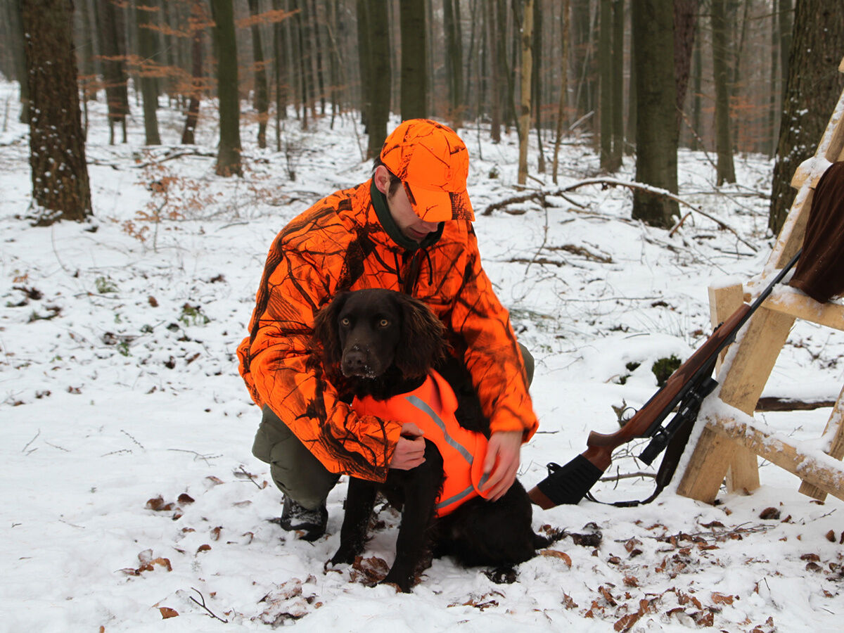 Hundesignalweste Holstein (Orange)