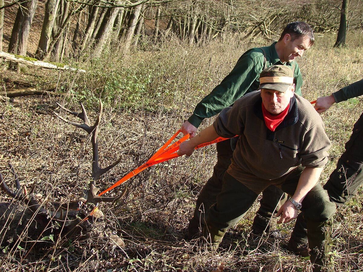Dreizug-Wildbergehilfe bis 300 kg (bis 3 Personen, orange)