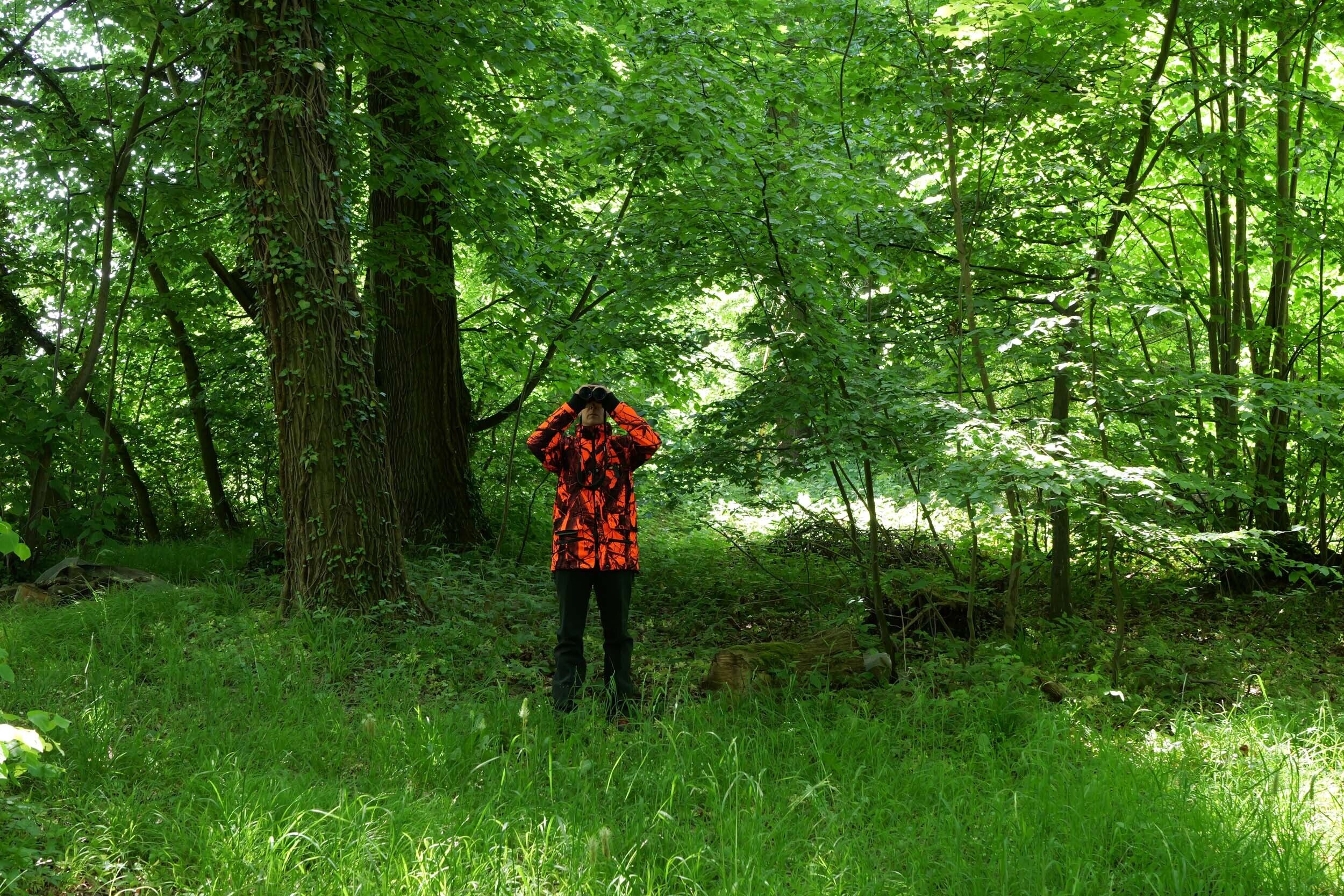 Hubertus Signaljagdjacke (orange) Hubertus Signaljagdjacke (orange)