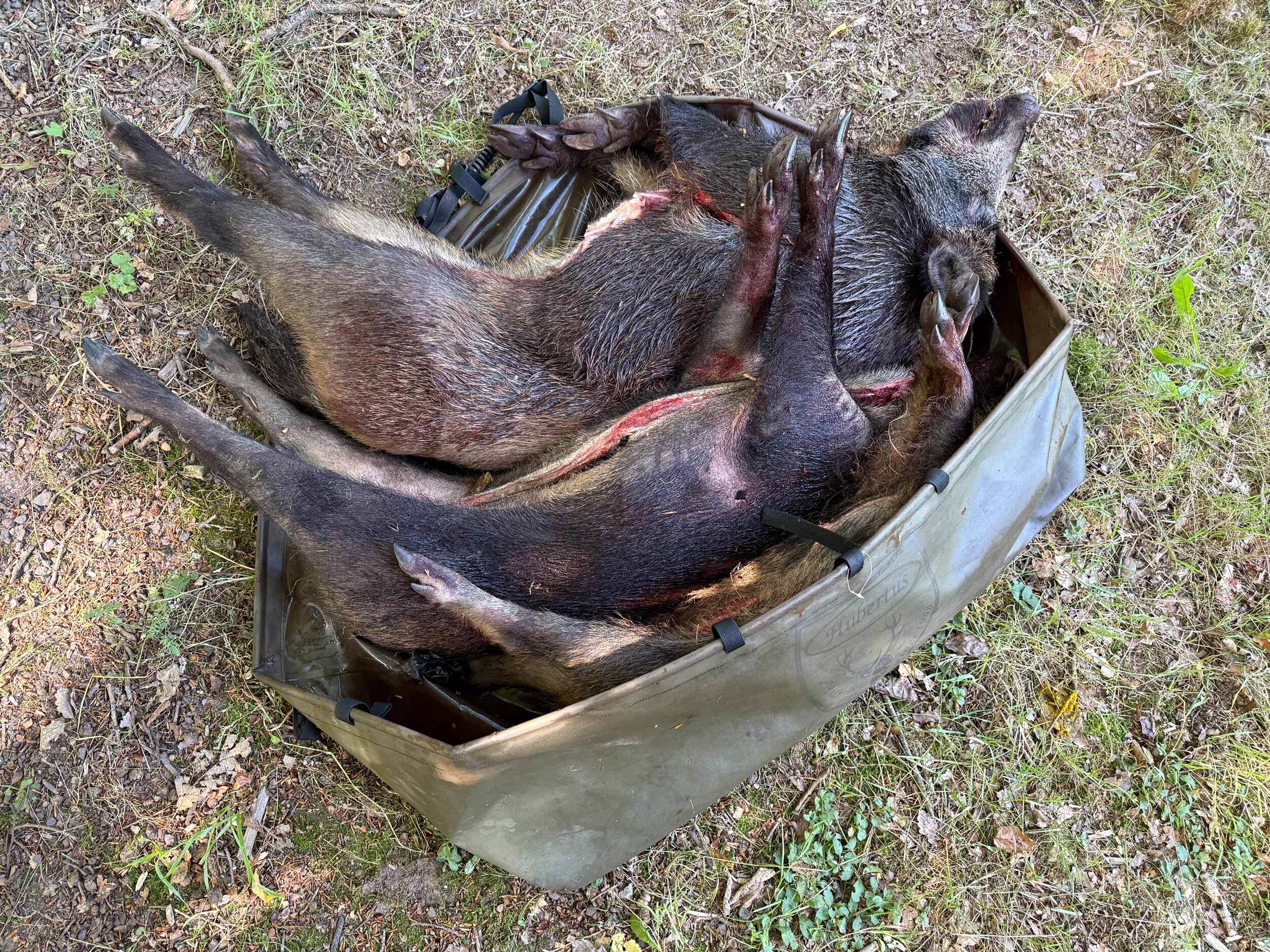 Hubertus Wildwanne Rot-und Schwarzwild (faltbar)