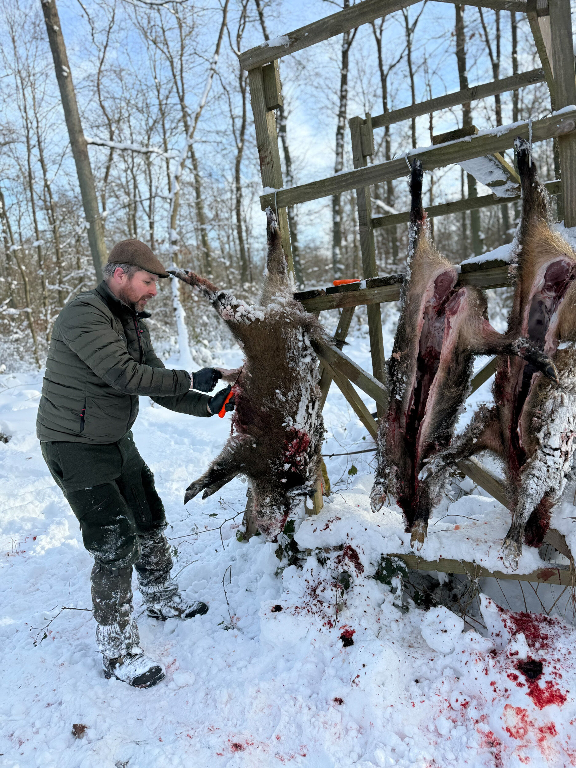 Dick Aufbrechset im Einsatz bei Schwarzwild