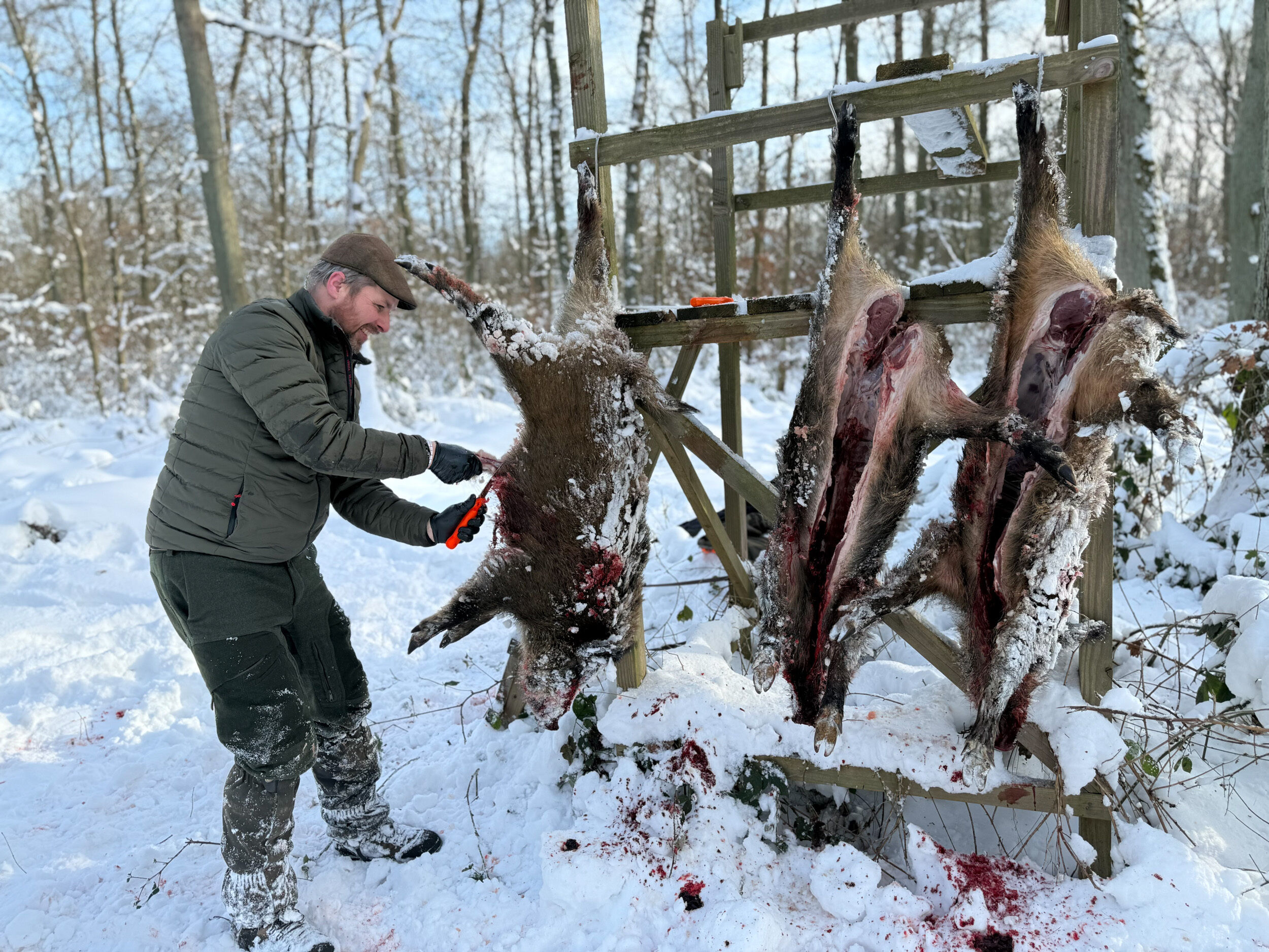 Dick Aufbrechmesser mit Säge beim Aufbrechen von Schwarzwild
