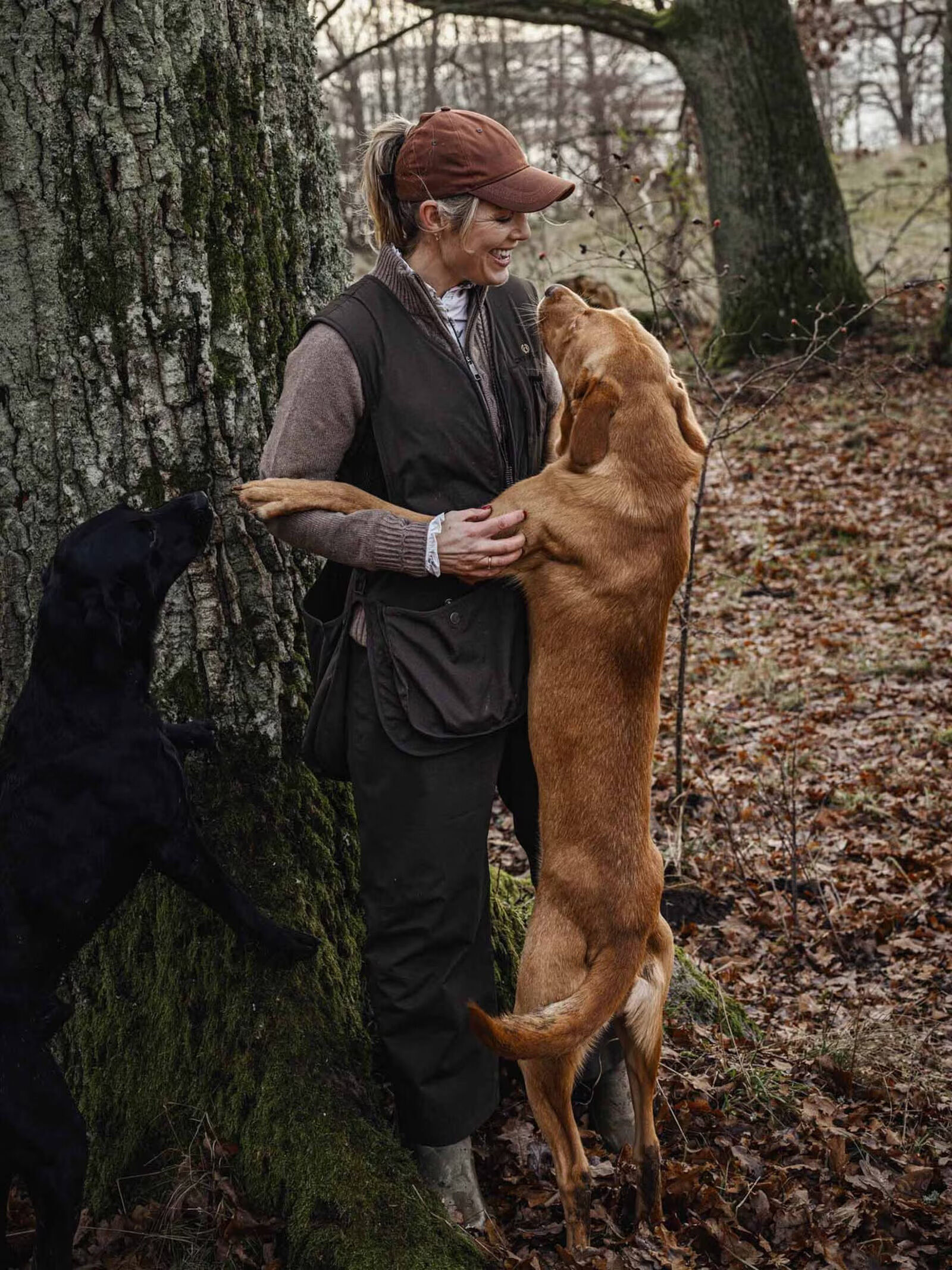 Chevalier Fractus Dogsport Überziehhose (Tobacco Green)