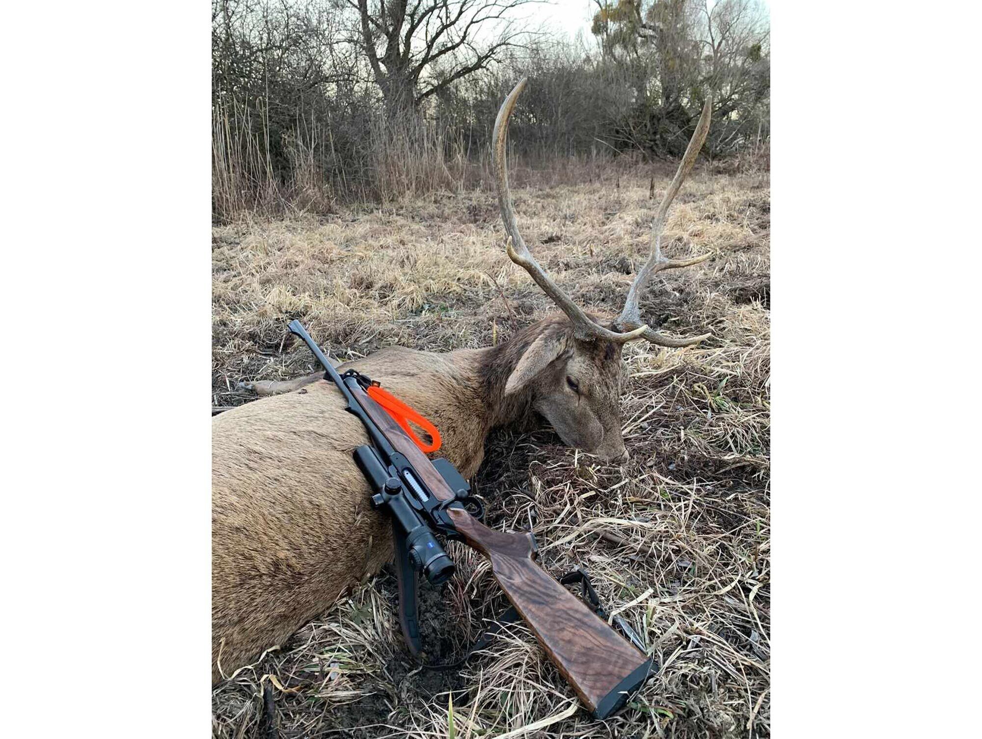 Sauenhammer SH2 Drückjagd Neopren Vorderschaftschlaufe (orange)