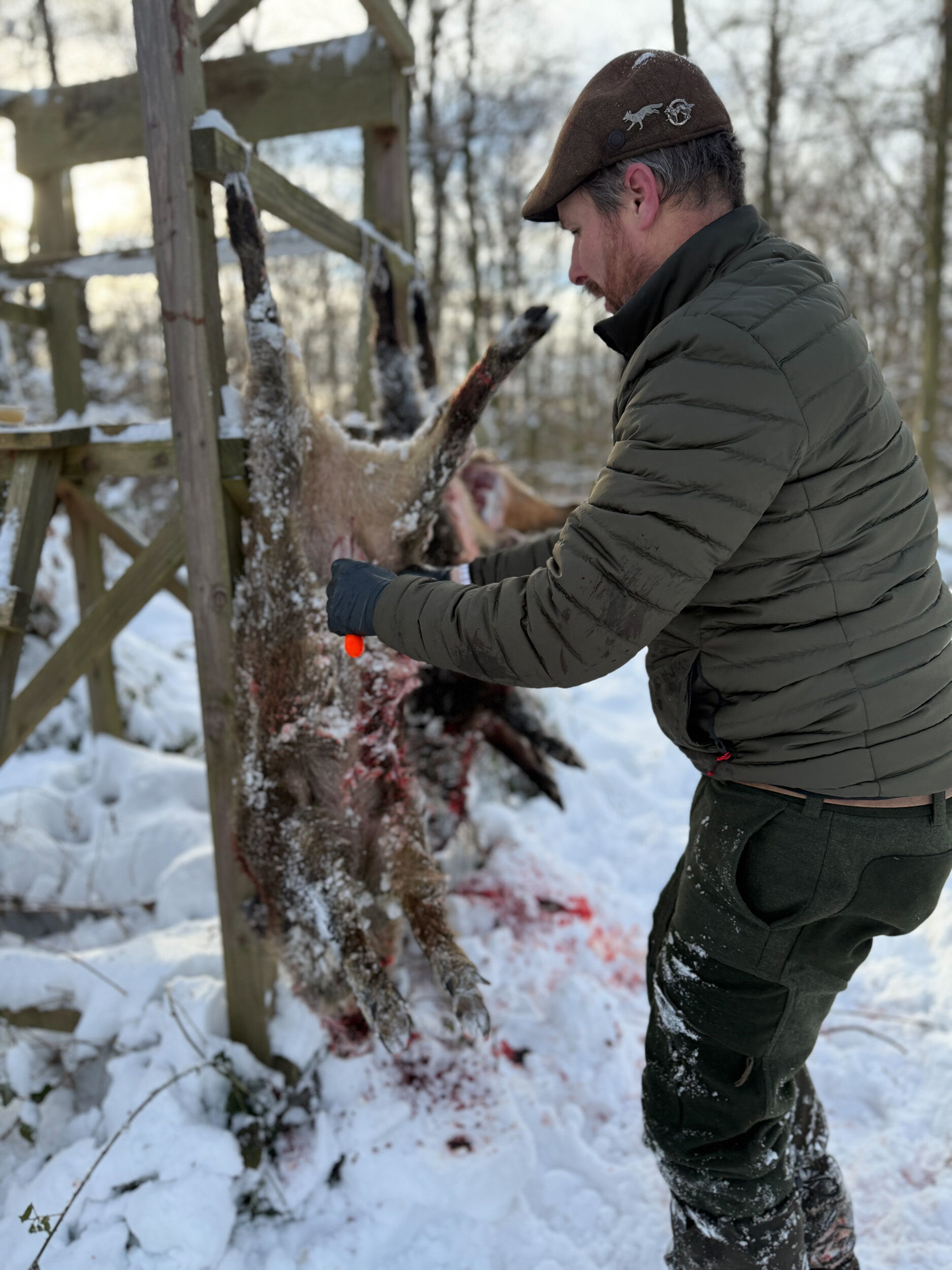 Dick Aufbrechset bei Schwarzwild