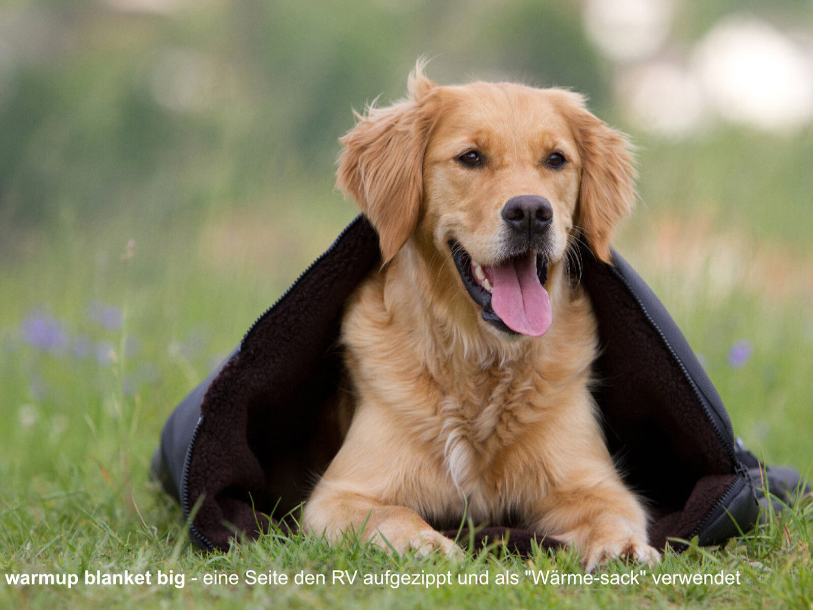 Actionfactory Hundematte Warmup Blanket Big