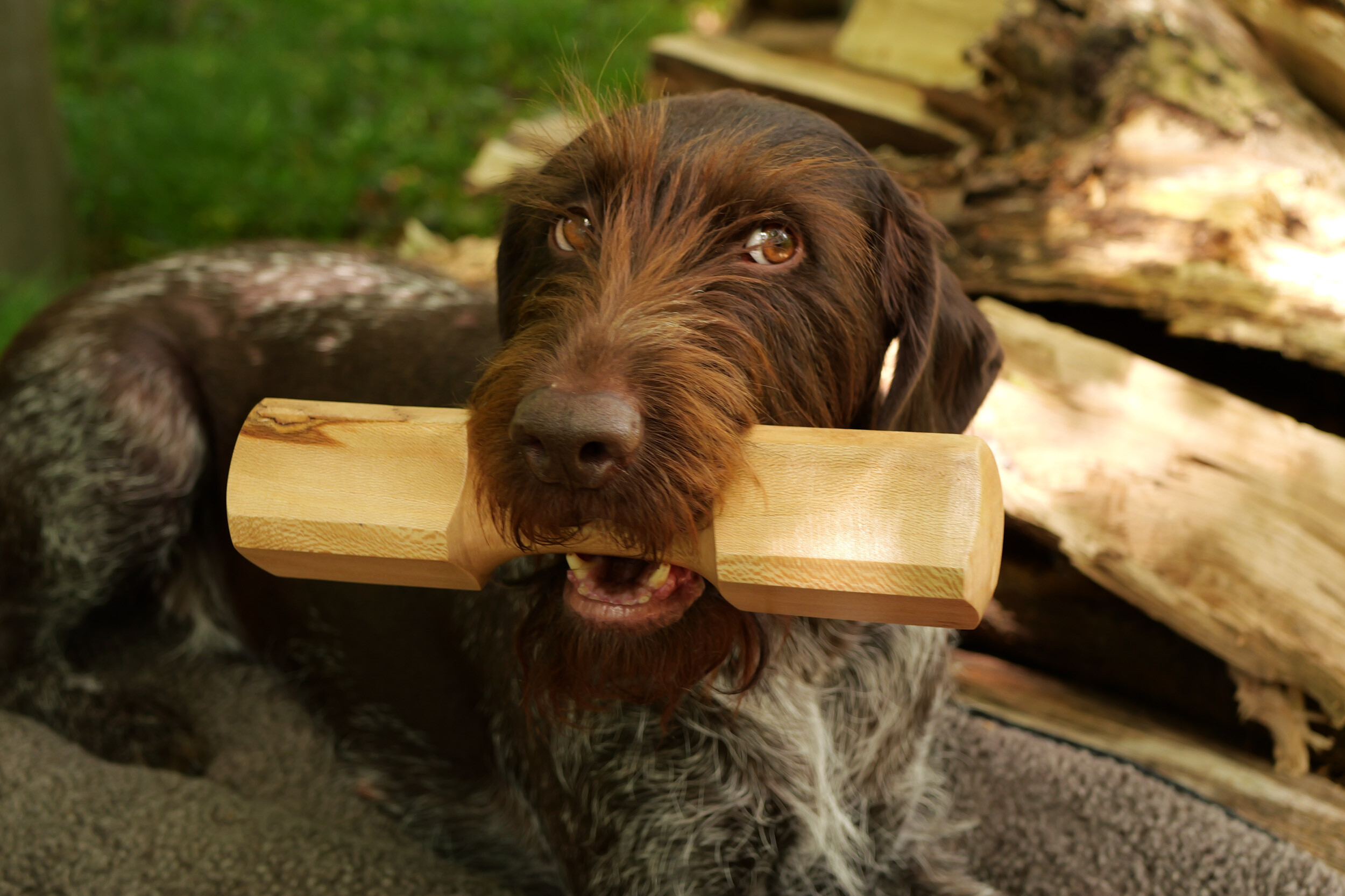 Apportierholz (Apportierbock Holz) Apportierholz (Apportierbock Holz)