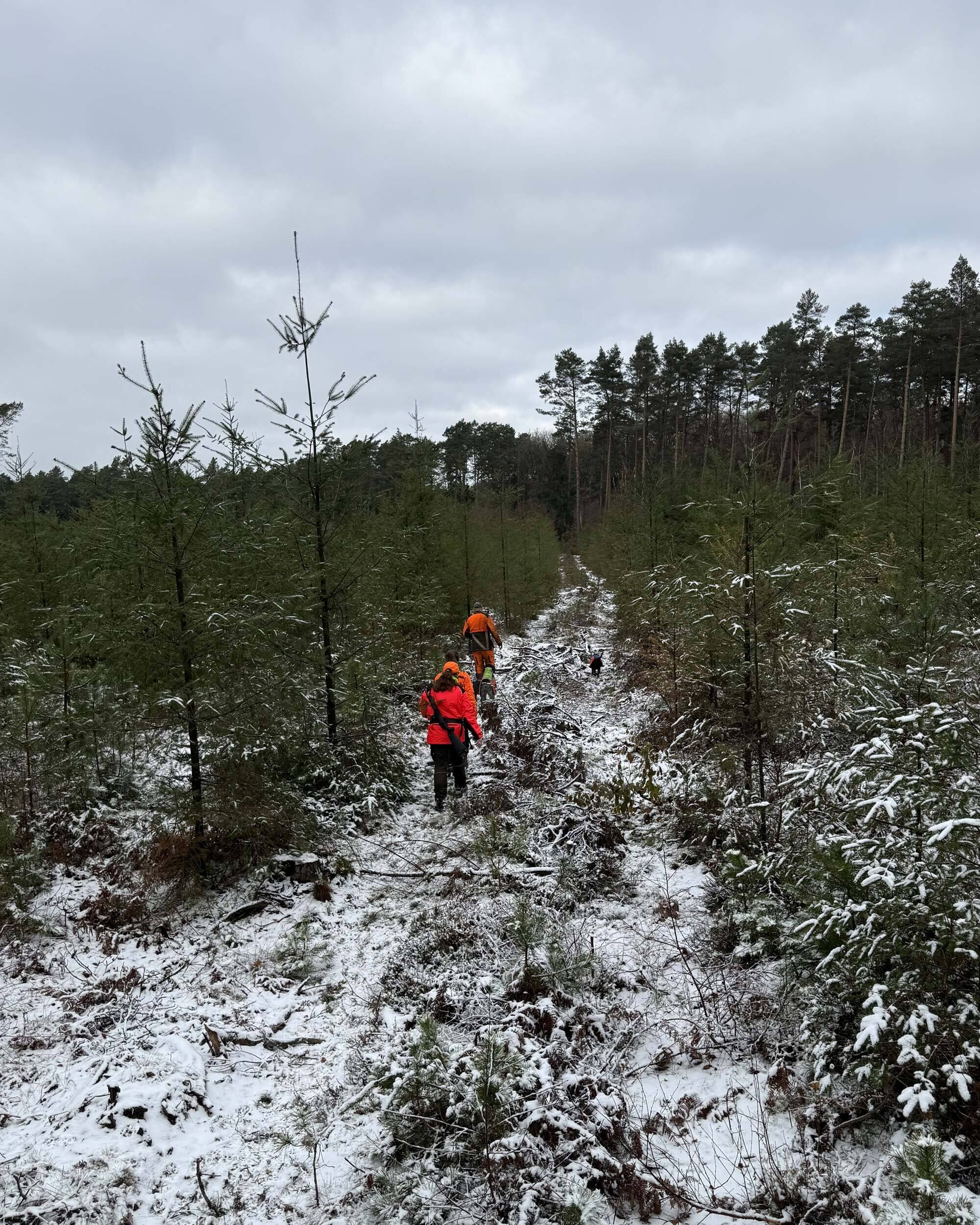 PSS X-treme Hybrid Schlupfjacke (rot/gelb)